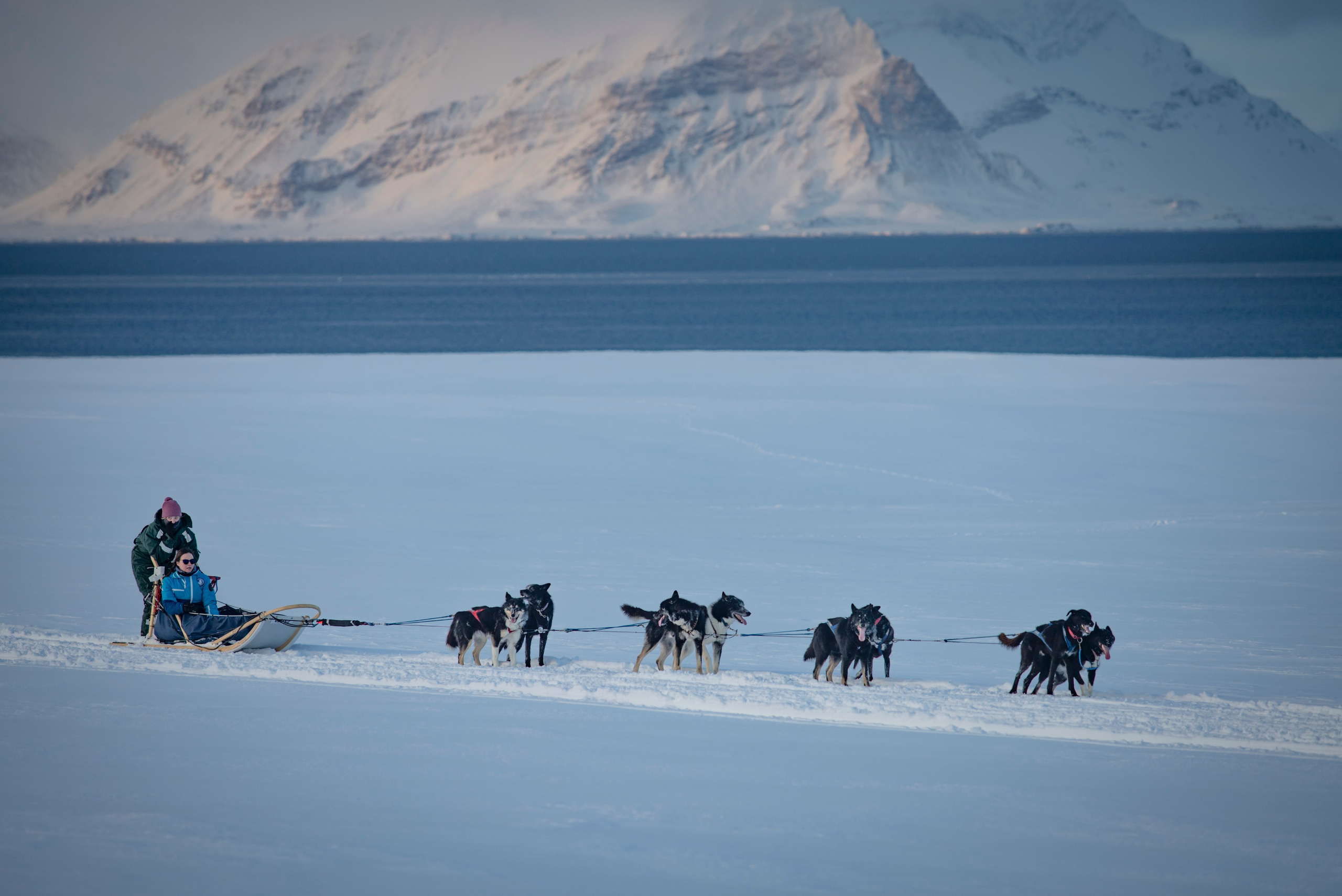 Архипелаг Шпицберген. Работа в Арктике. Фотограф Москва, Сергиев Посад