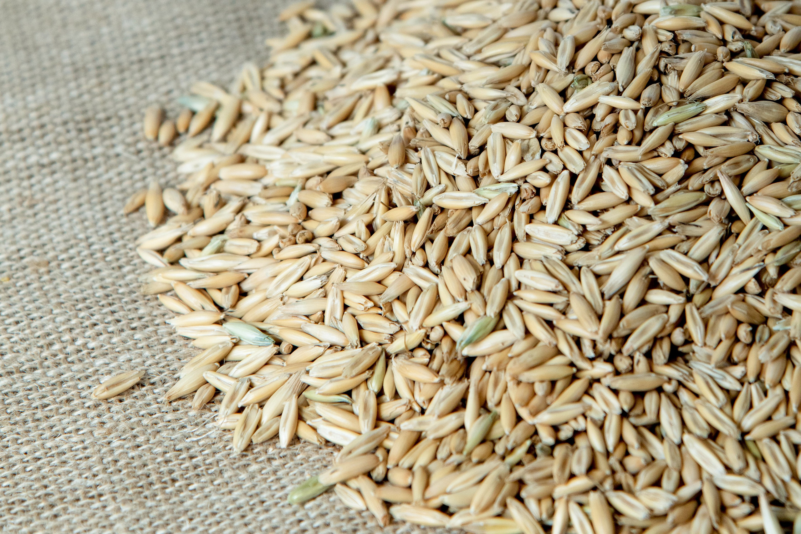 Крупы. Александра Панина фотограф, портрет, семья, бизнес, Новосибирск