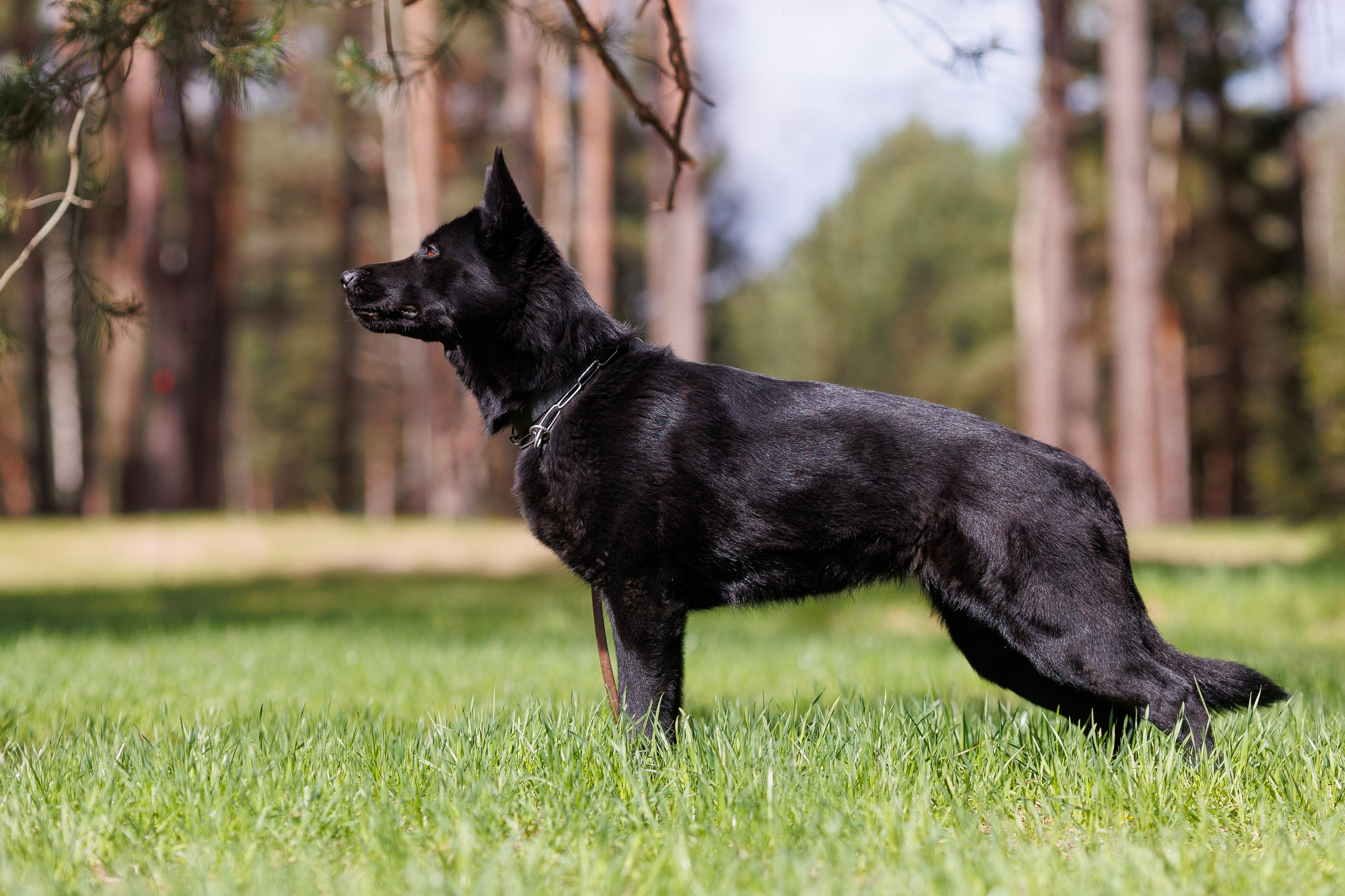 Репортажный фотограф Борис Геер