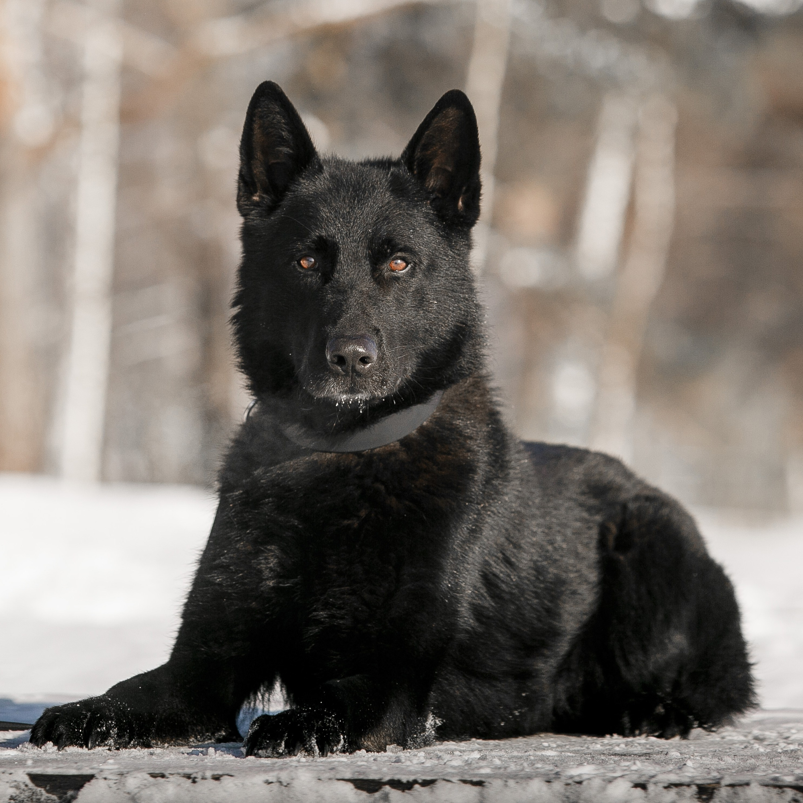 Репортажный фотограф Борис Геер