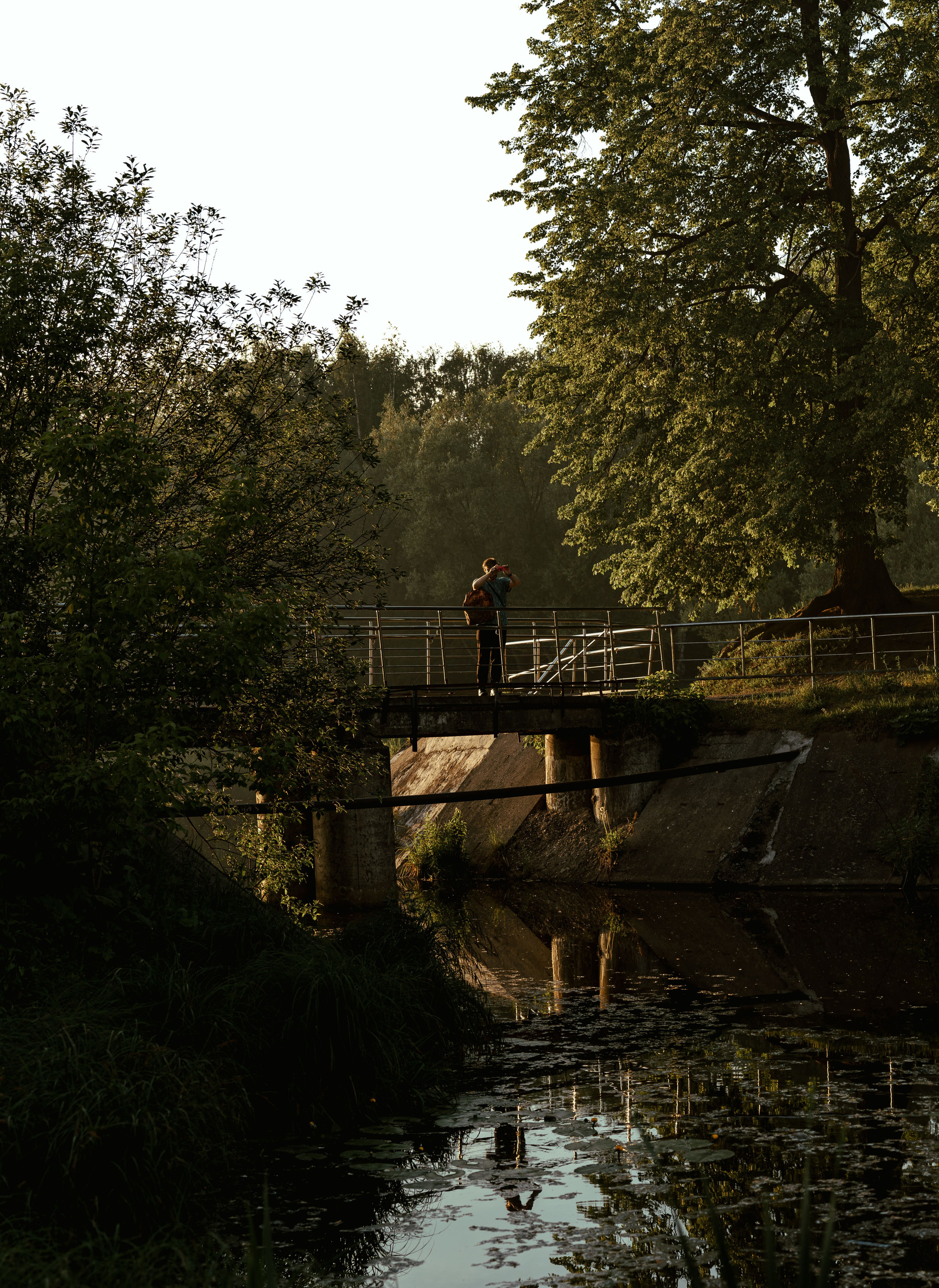 Жизнь в цветах. Алексей Гаас — фотограф