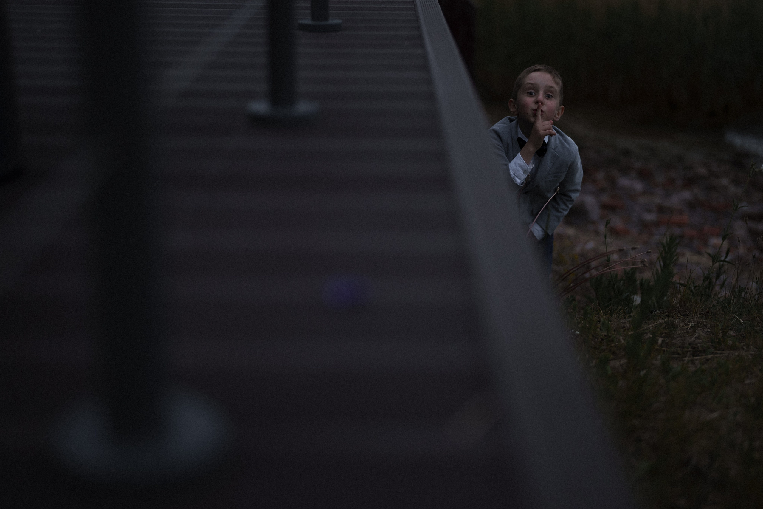 Июнь в Зените. Фотограф в Санкт-Петербурге Александр Дымов