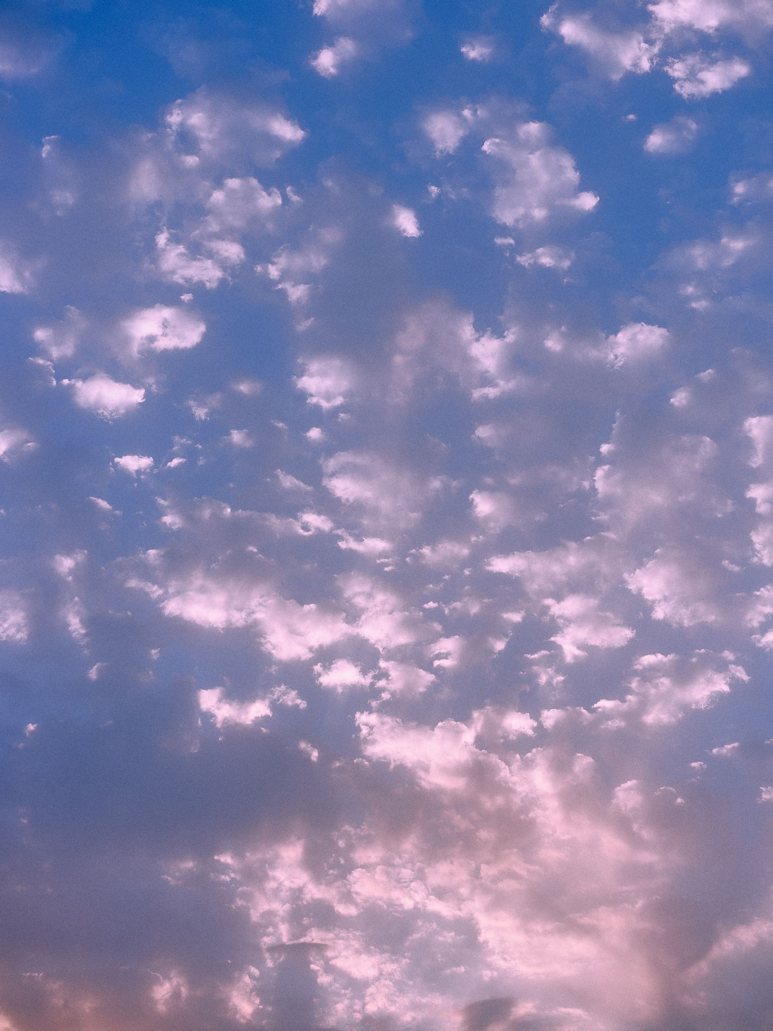 Другое 3. Jorgis Talè — photographer, kind person, teacher of arts and other mag