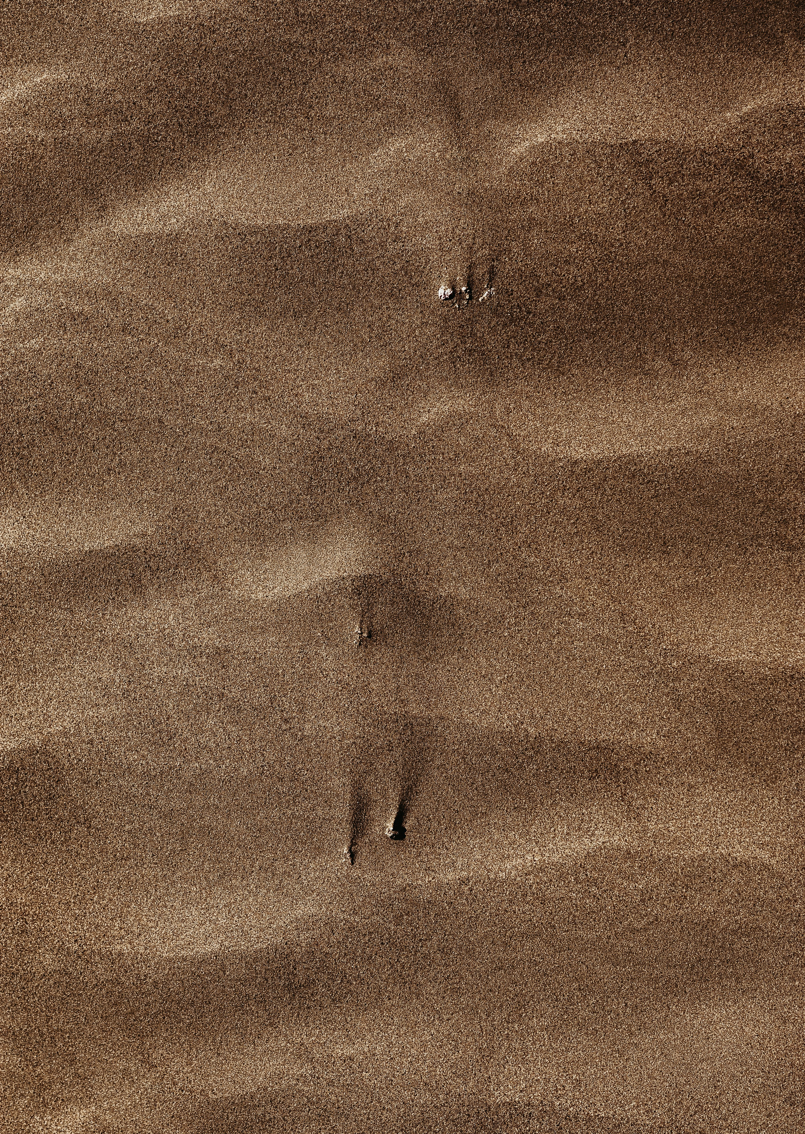 Жизнь. Фотограф Алматы | Весь мир — Никита Колодин