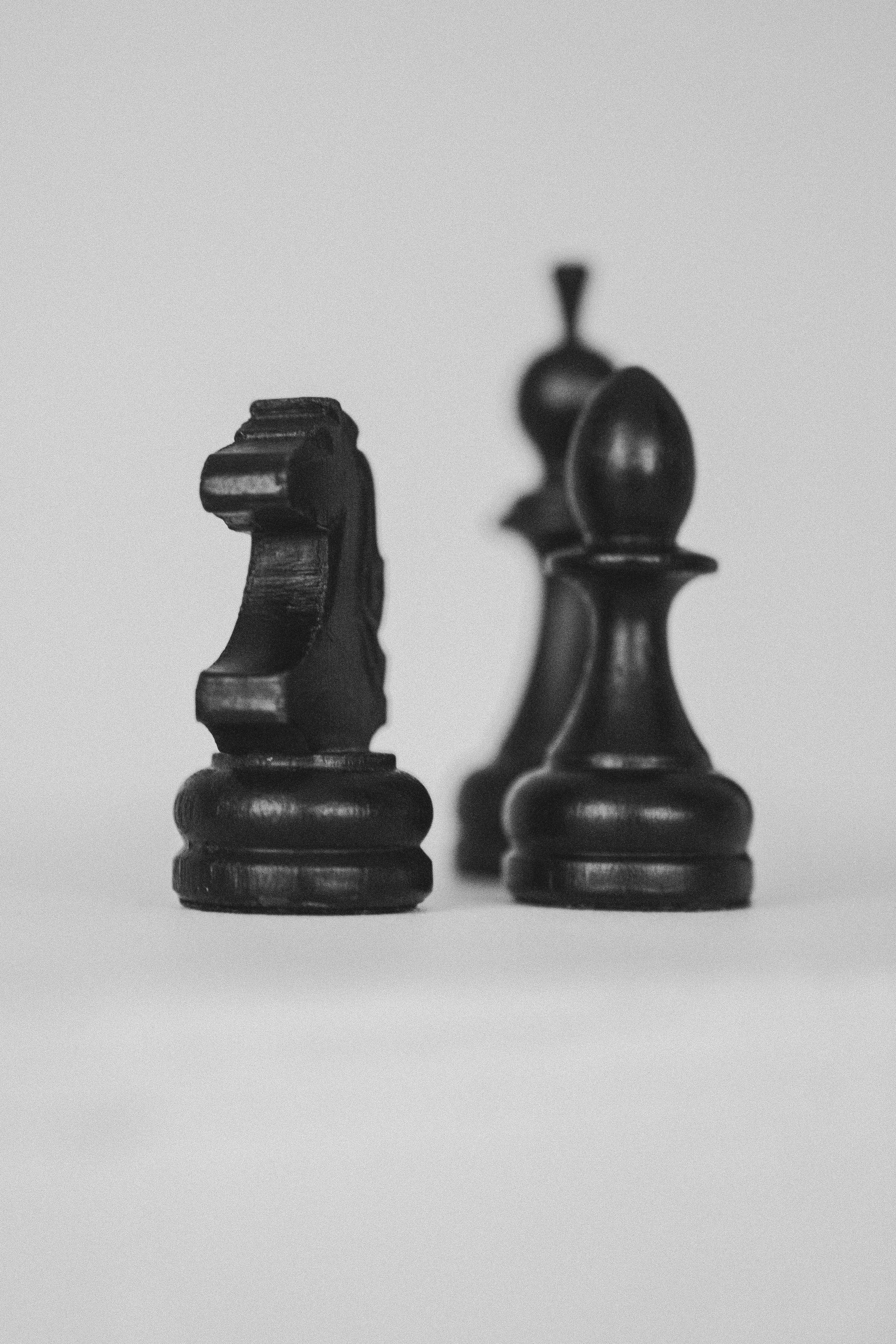 Яна 2023. Фотограф | Таганрог | Ростов