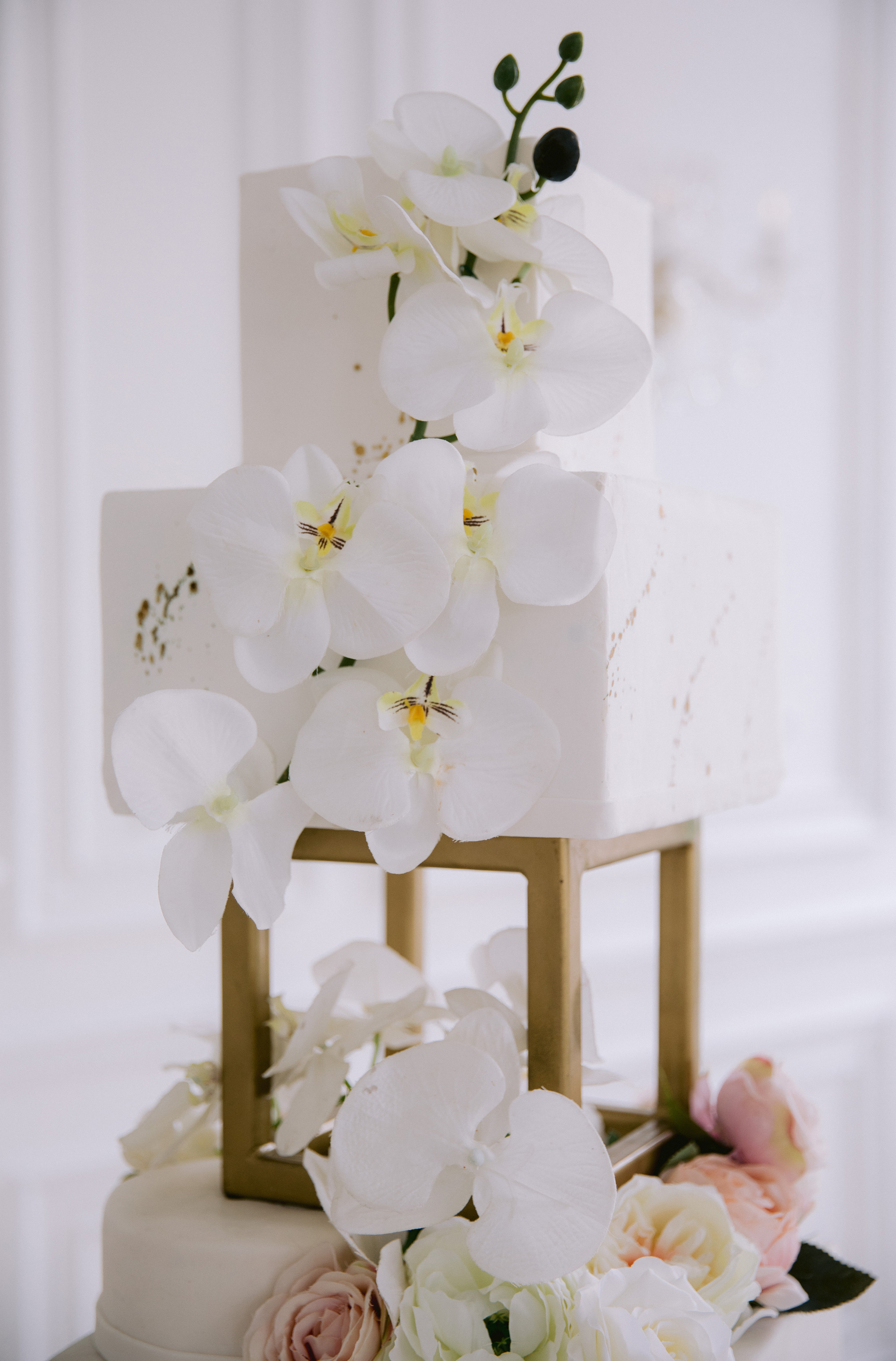 Яна и Яков. Фотограф | Таганрог | Ростов