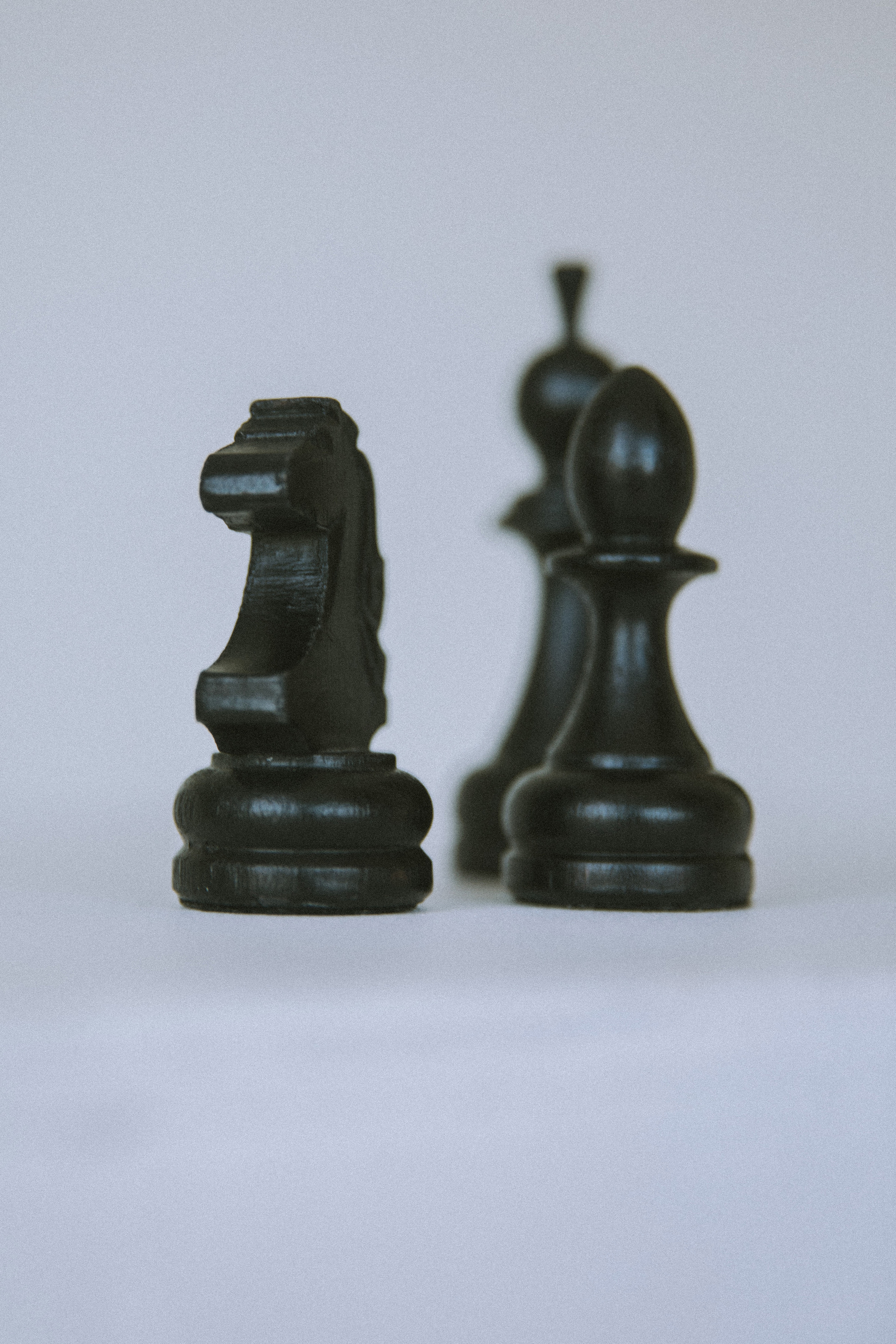 Яна 2023. Фотограф | Таганрог | Ростов