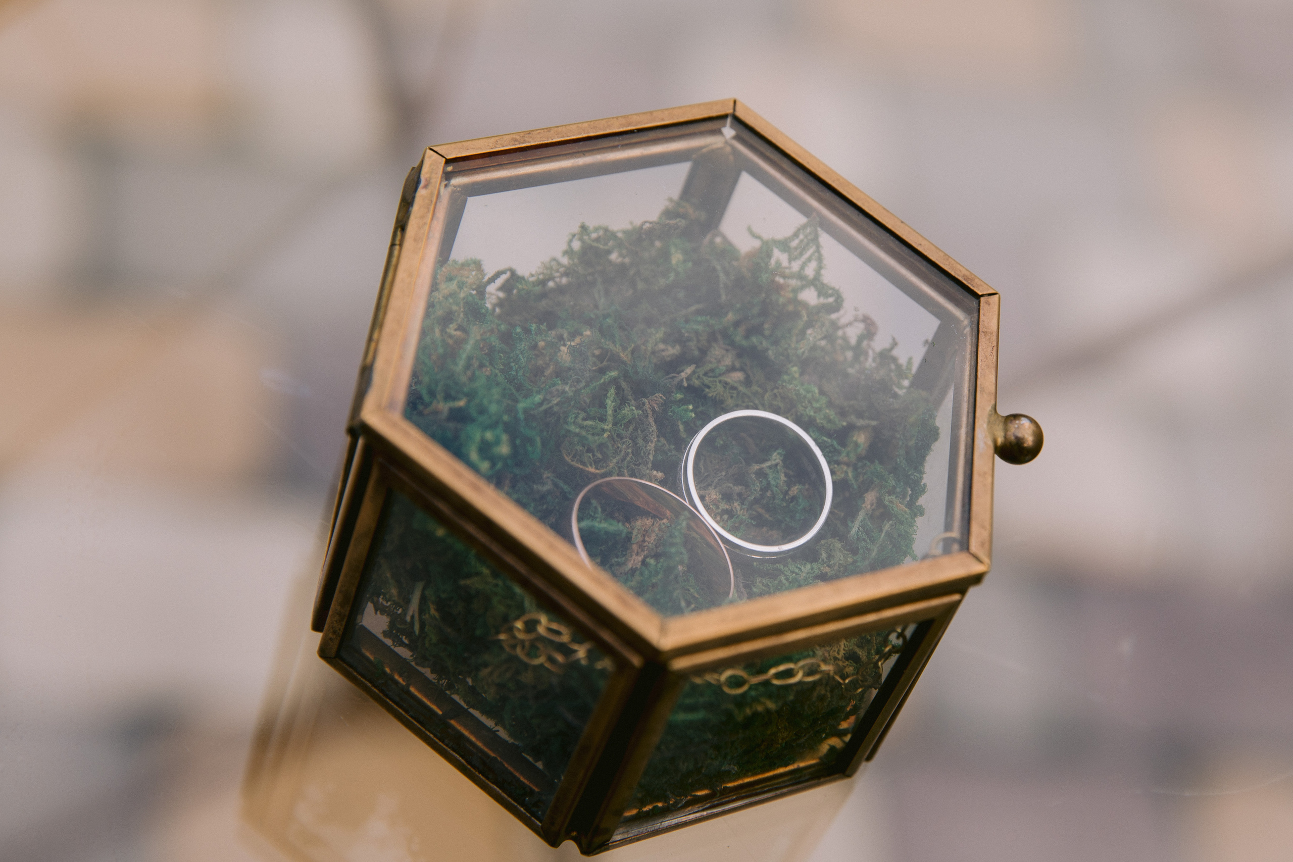 Геннадий и Карина. Фотограф | Таганрог | Ростов