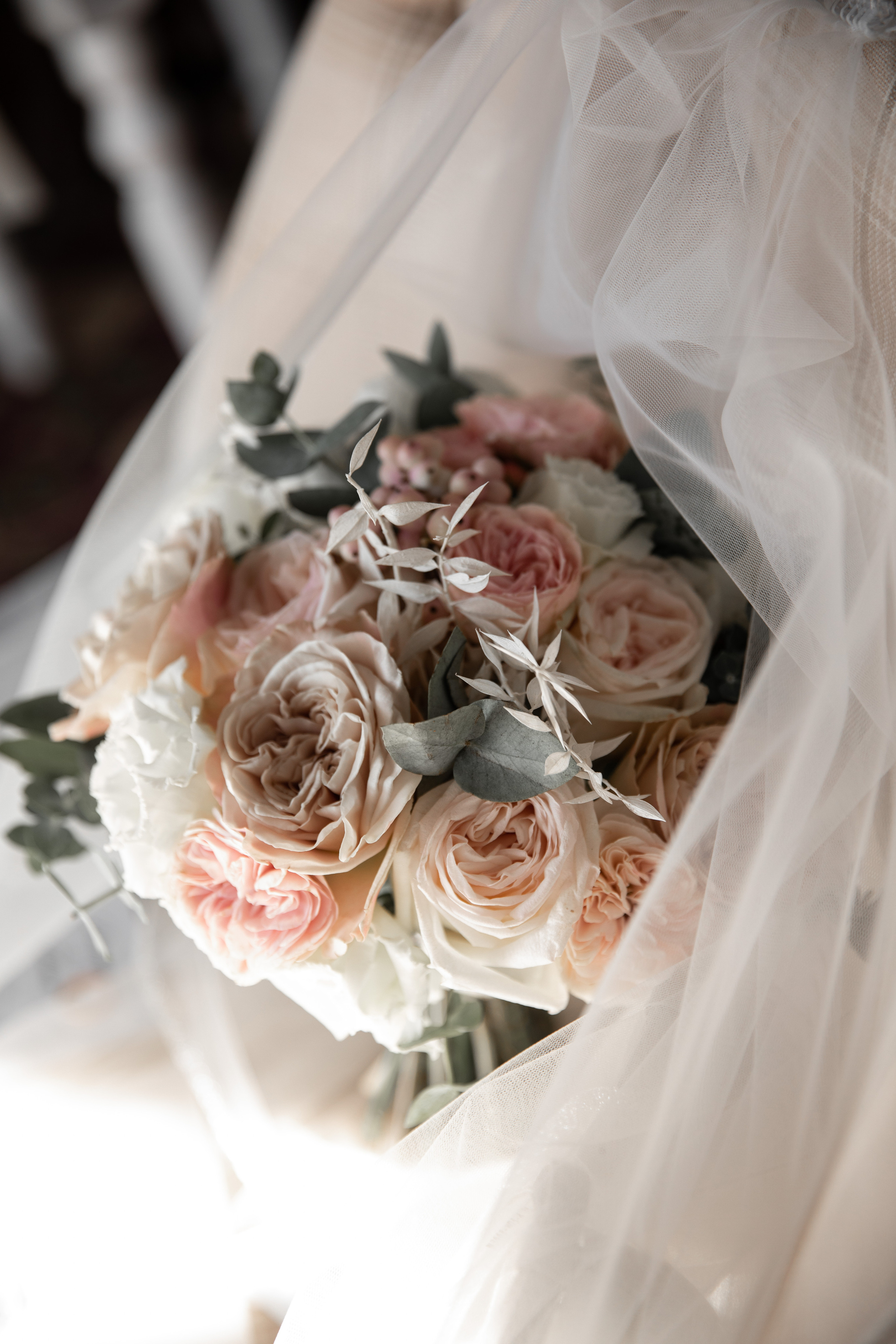 Алина и Александр. Фотограф | Таганрог | Ростов