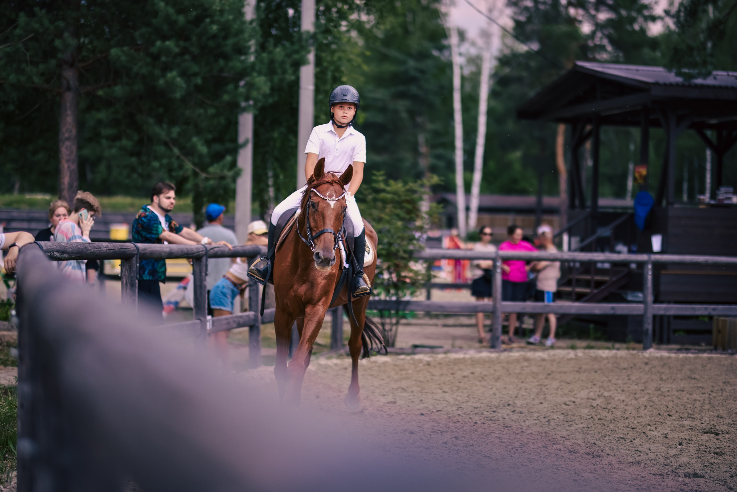 Соревнования по конному спорту. Фотограф репортажей и стритфотосессий в Москве Людмила Смирнова