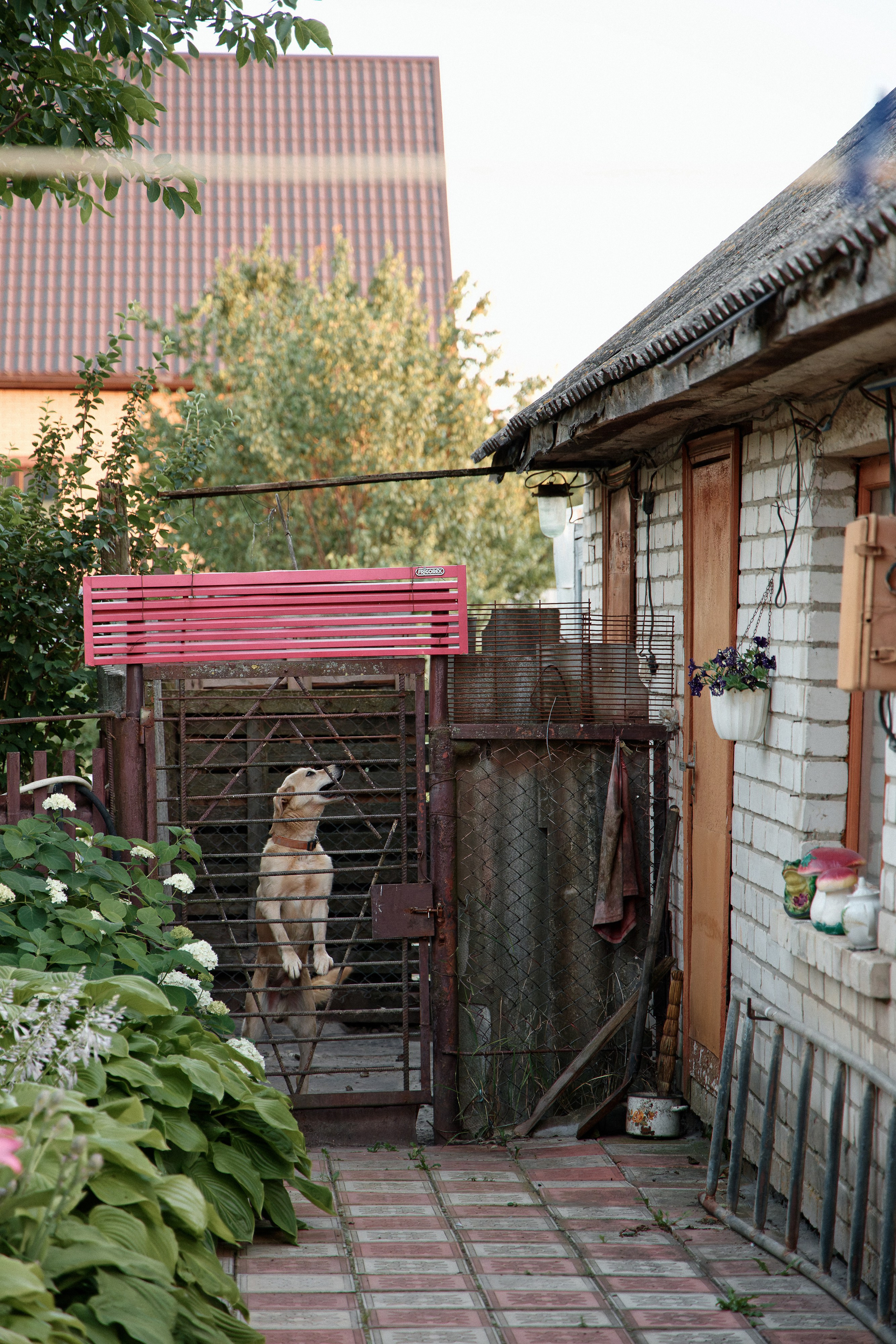 Семья Даниловых. Семейный фотограф — Макс Белогрудов