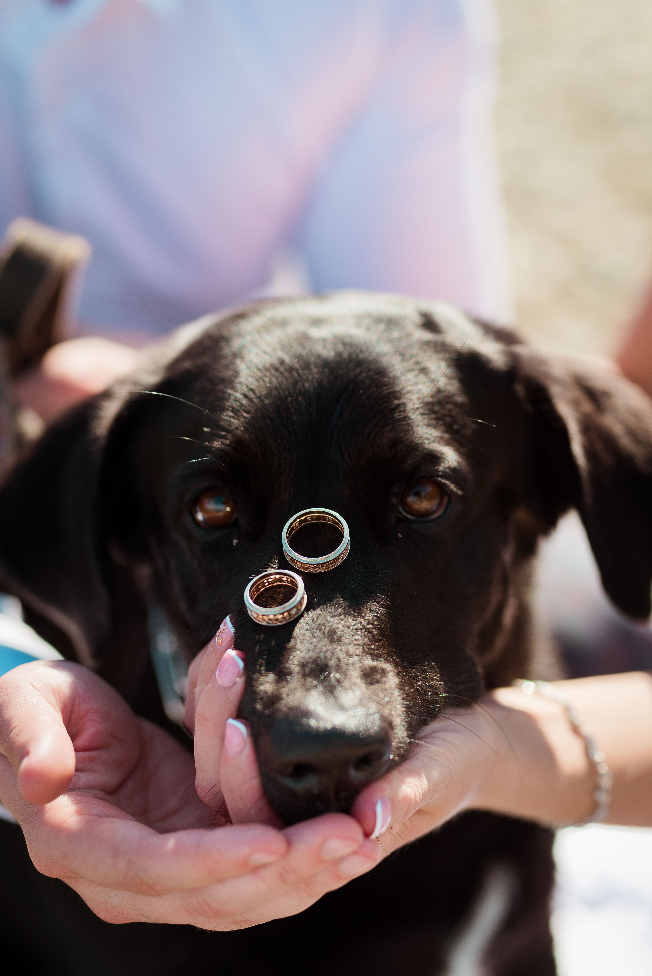 Юлия и Анатолий. Свадебный и семейный фотограф Яна Стражева. Волгоград, Москва