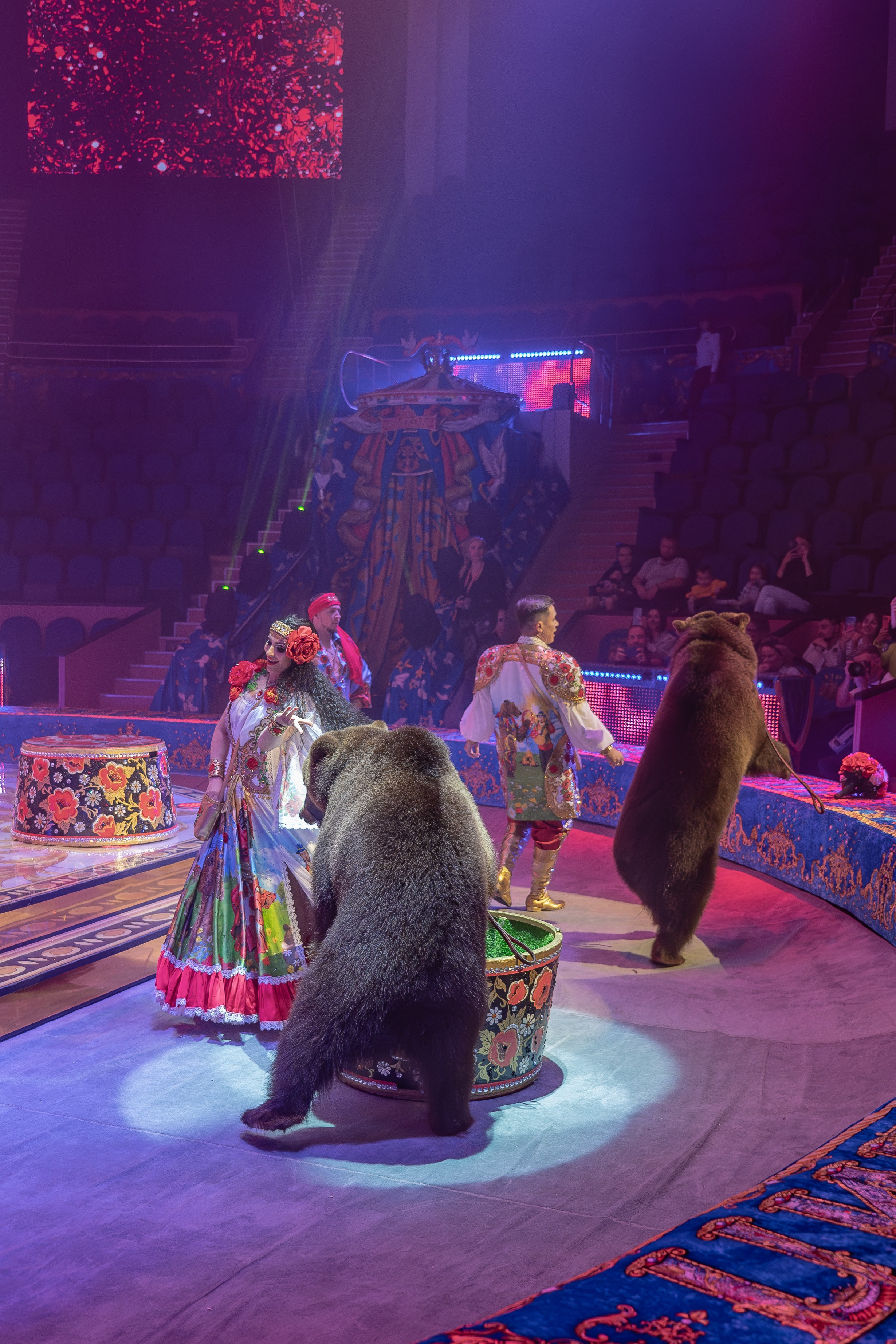 Цирк Гии Эрадзе. Наталья Слесаренко фотограф в Сочи