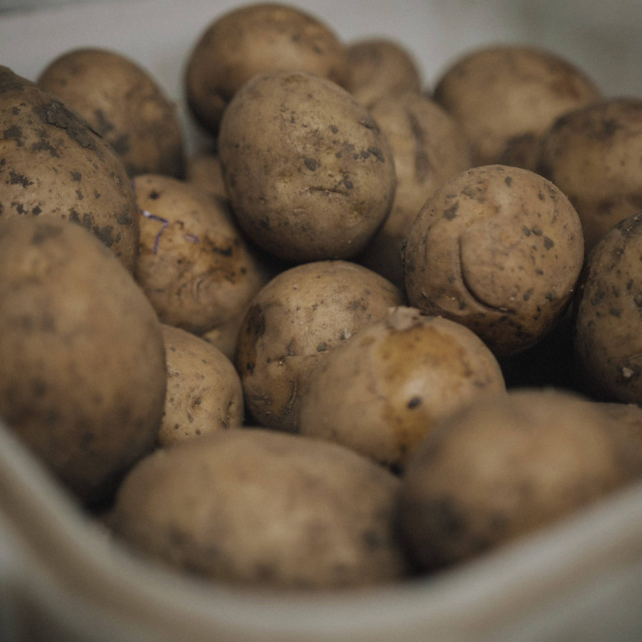 Снова готовка для кормления бездомных. Фотограф в Москве Максим Скоробогатов