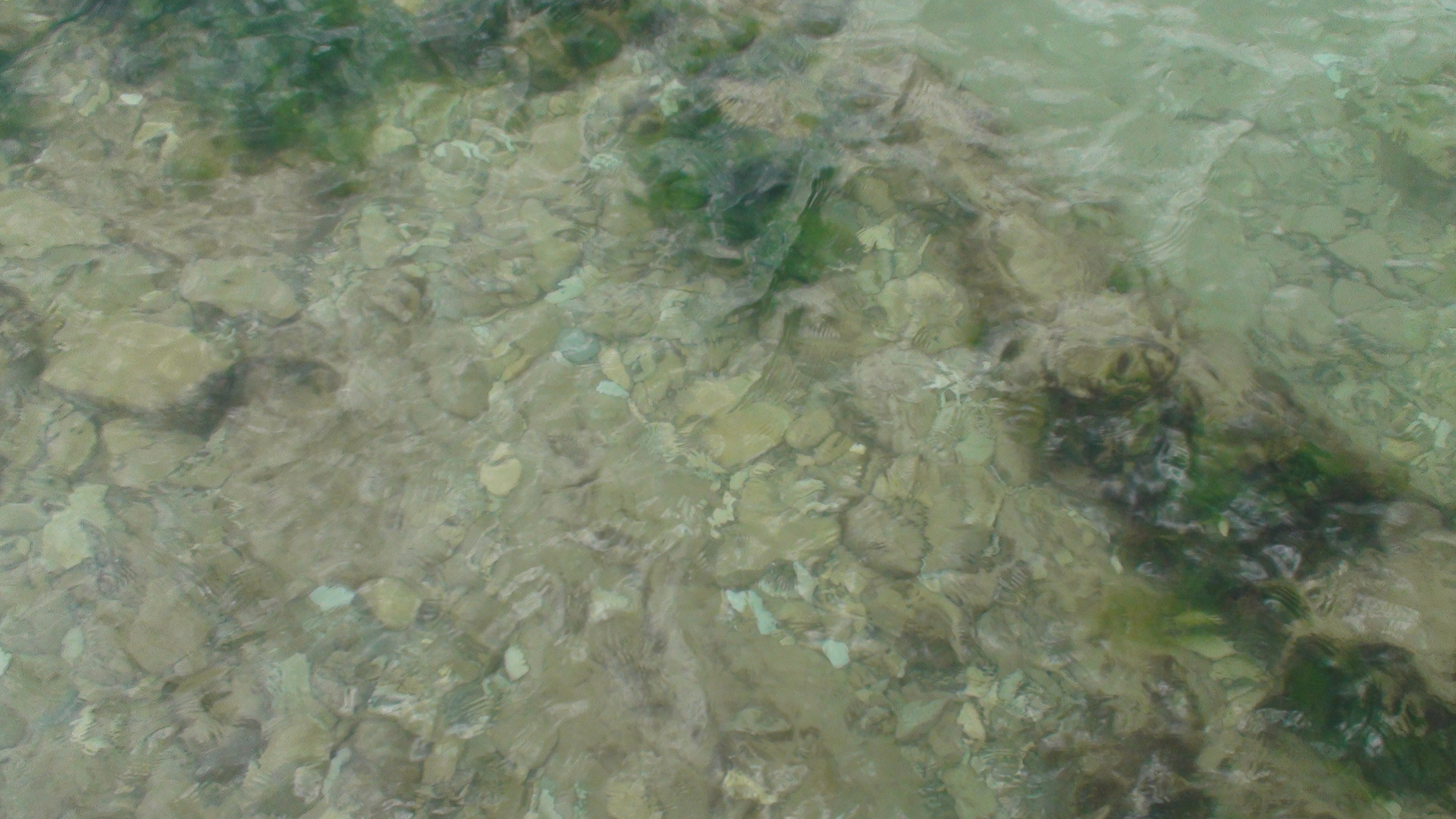 Отпуск 27.05-16.08. Семейный, Свадебный фотограф СПБ Питер— Романова Екатерина