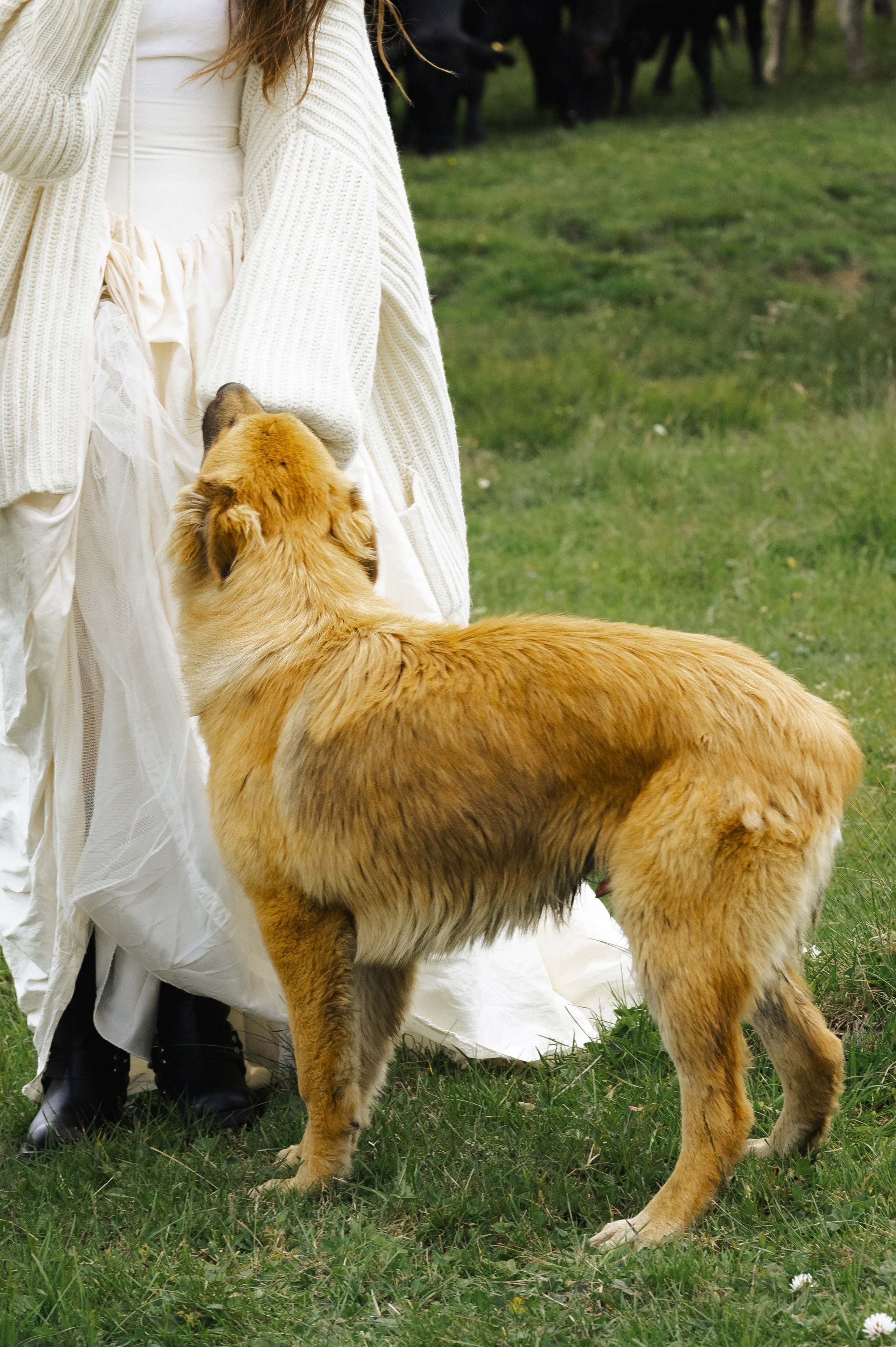 Владимир и Анна. Свадебный фотограф Ростов-на- Дону, Краснодар, Москва