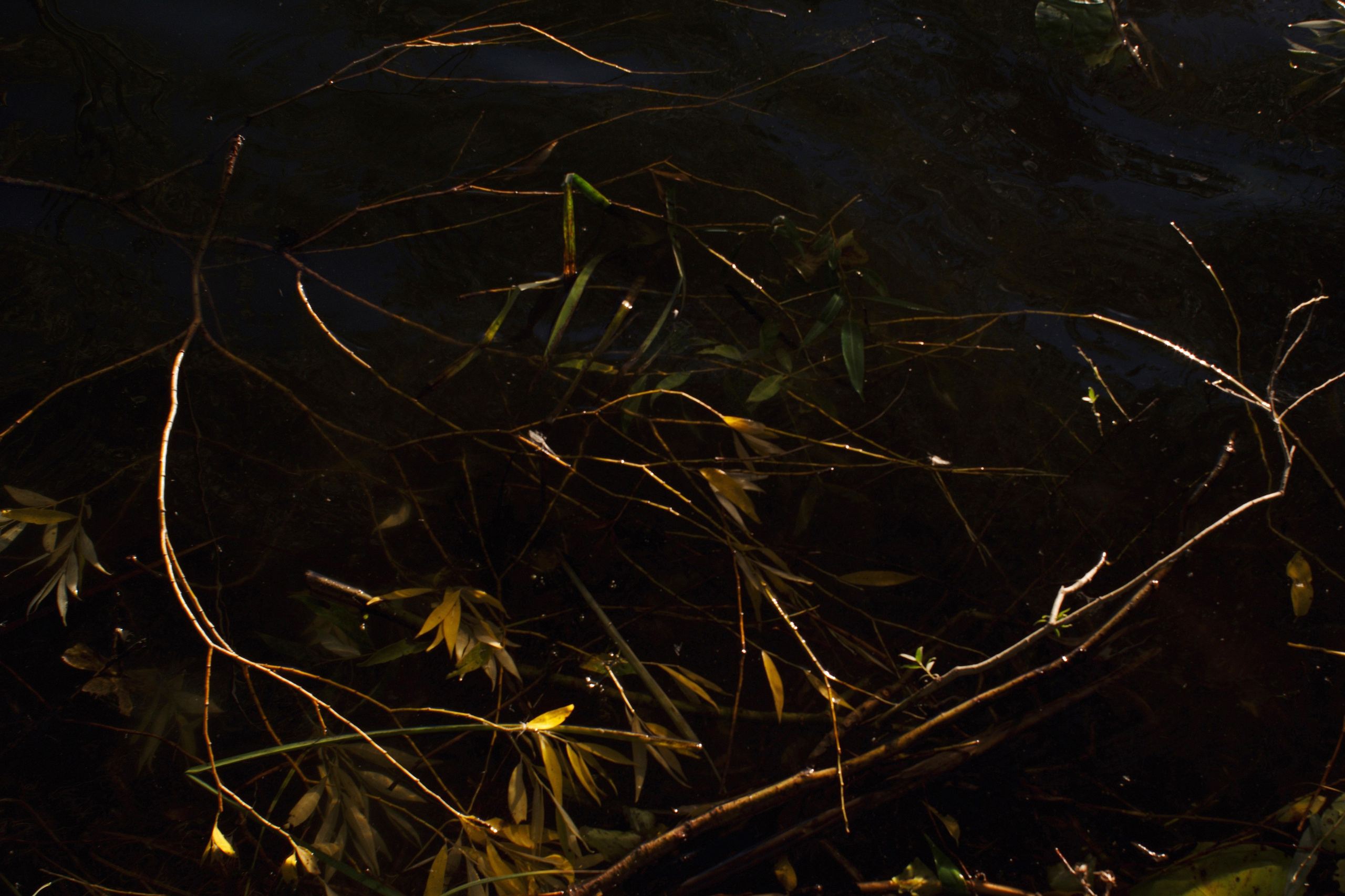 Water Path. Dmitry Ermakov. Documentary photographer