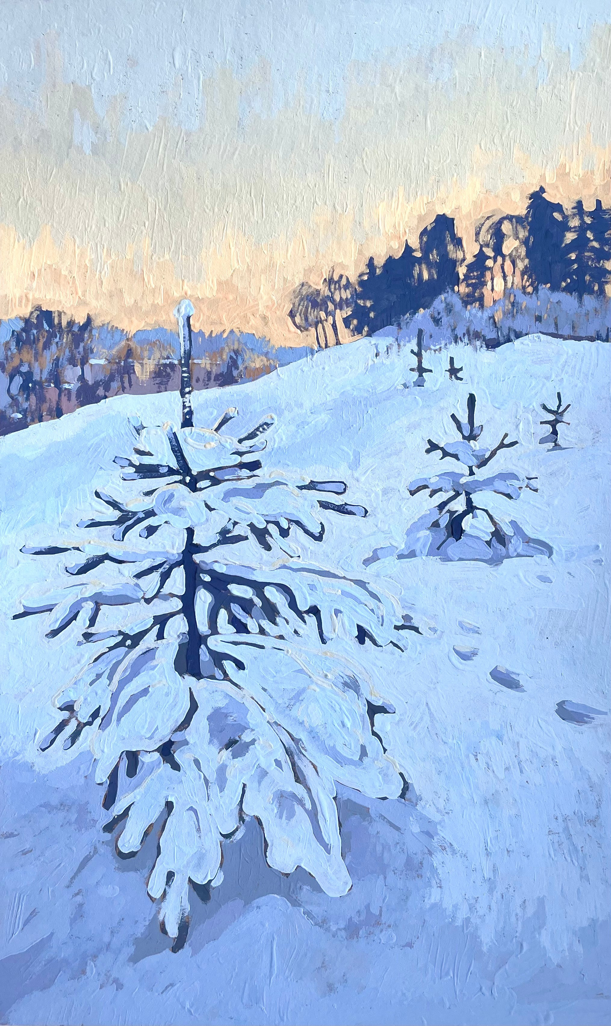 Вологодская область. Художница Лиза Владимирова