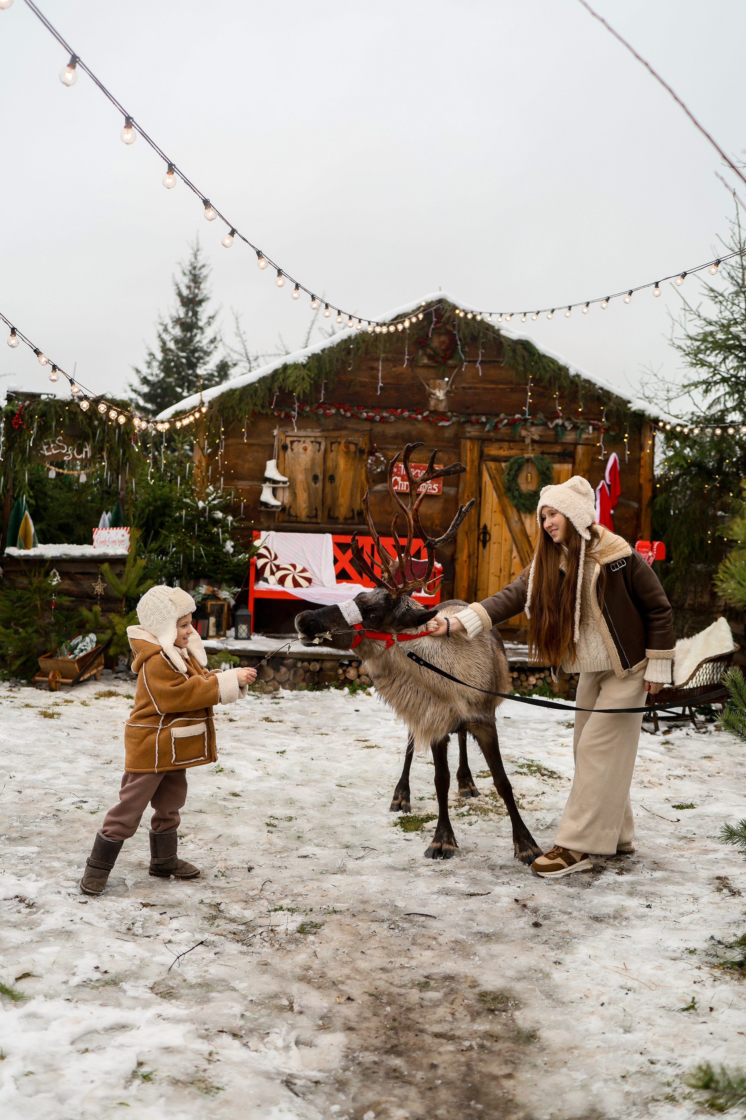 В Гостях у Санты и Северных оленей. Я Лена — семейный фотограф в стиле Life Style Москва и Подмосковья: Балашиха, Пушкино, Щелково, Домодедово, Дмитров. Я за эмоции и любовь