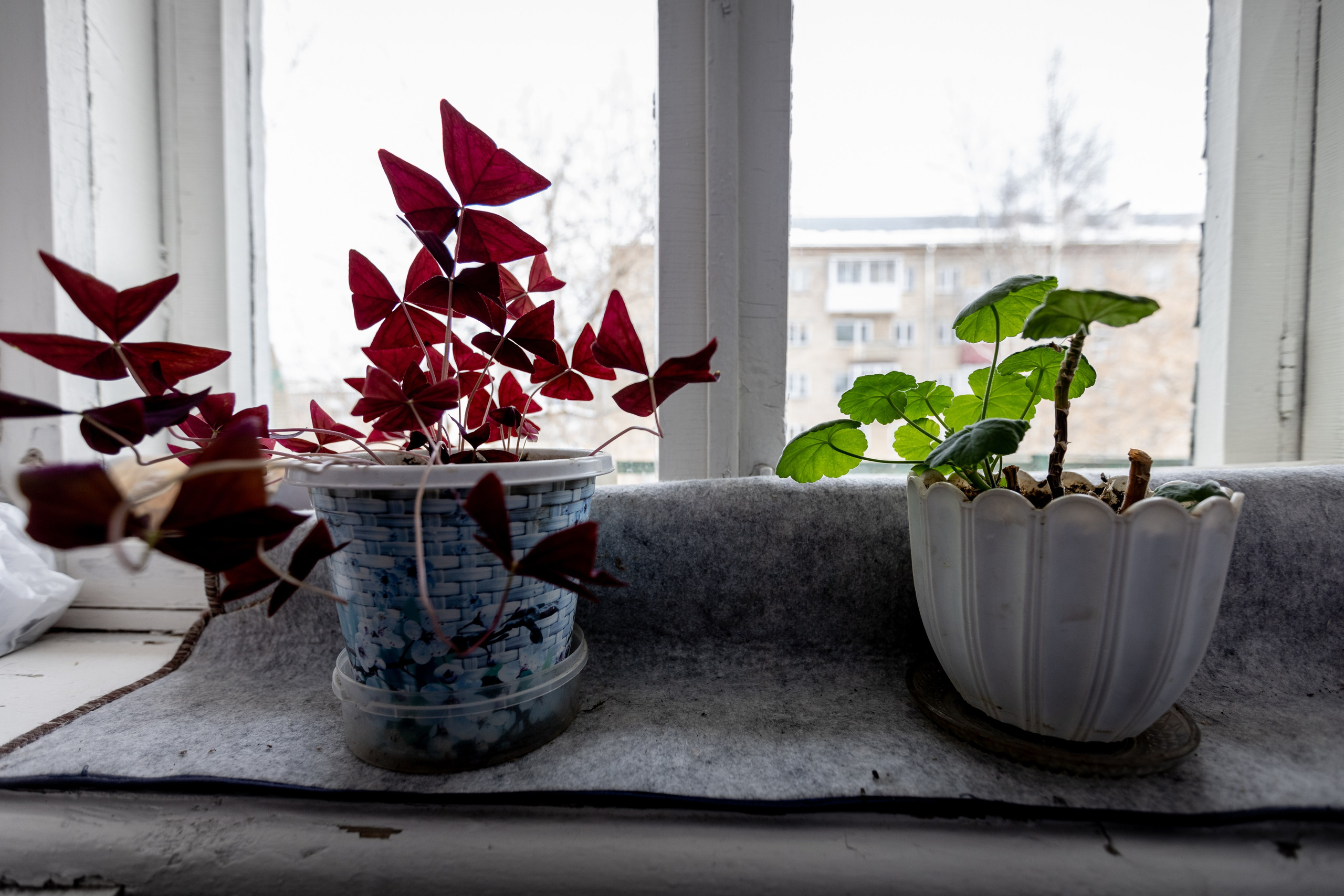 Римма Григорьевна Зубова. Узница нацистского трудового лагеря. Репортажный фотограф Наталья Лапцевич