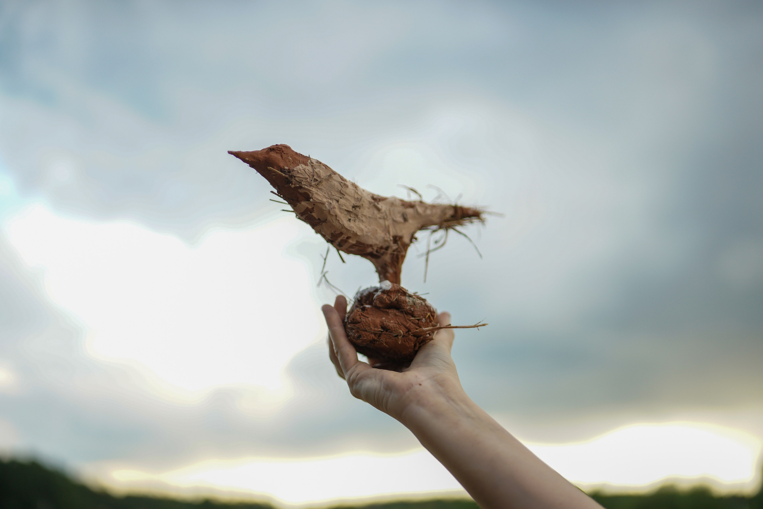 Wild fire 2024 — Дикий огонь 2024