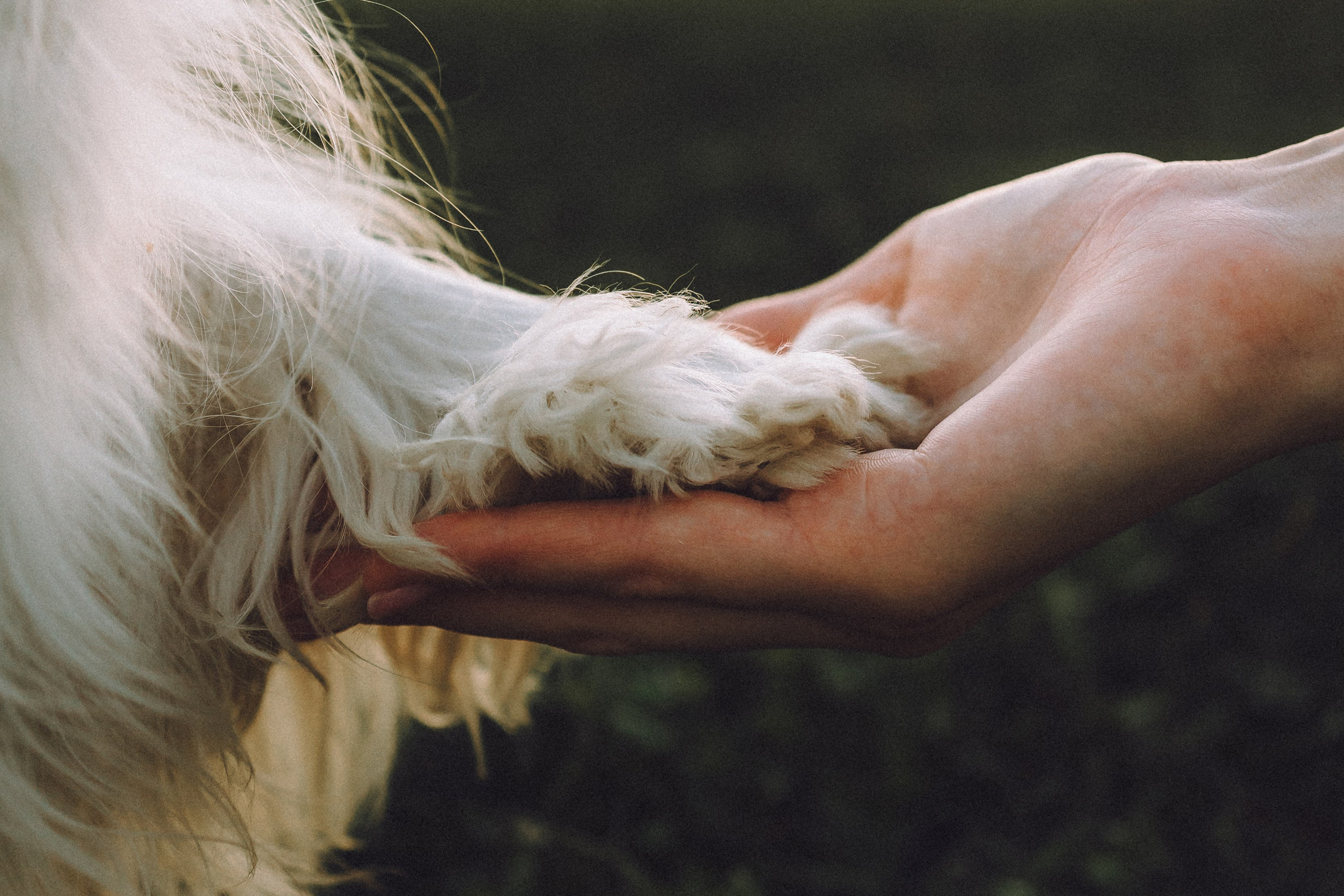 Наташа и Вики