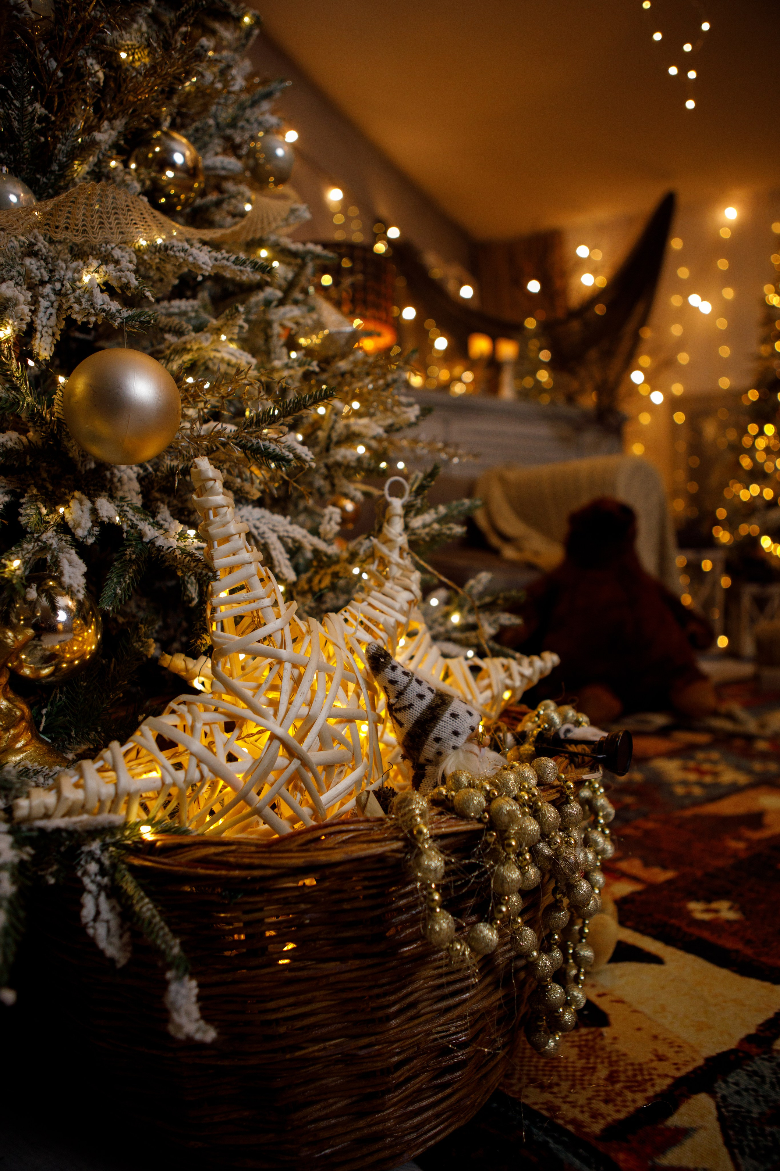 Семейная новогодняя фотосессия Петропавловск. Свадебный и Семейный фотограф в Петрпавловске