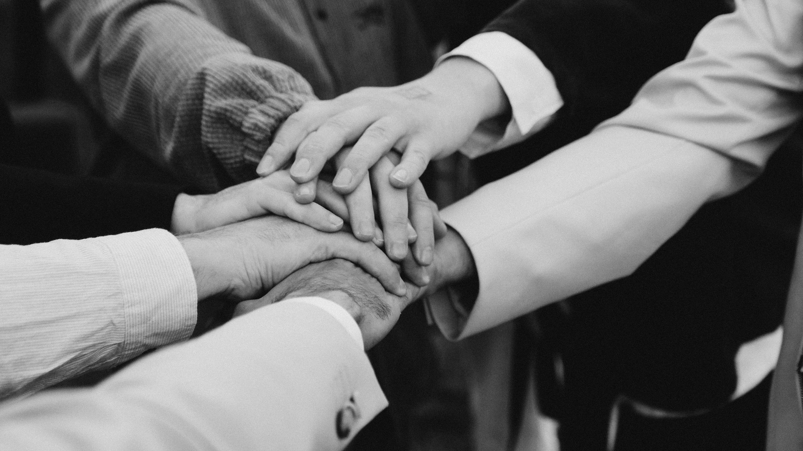 Аркея. Свадебный Видеограф Фотограф в Сочи