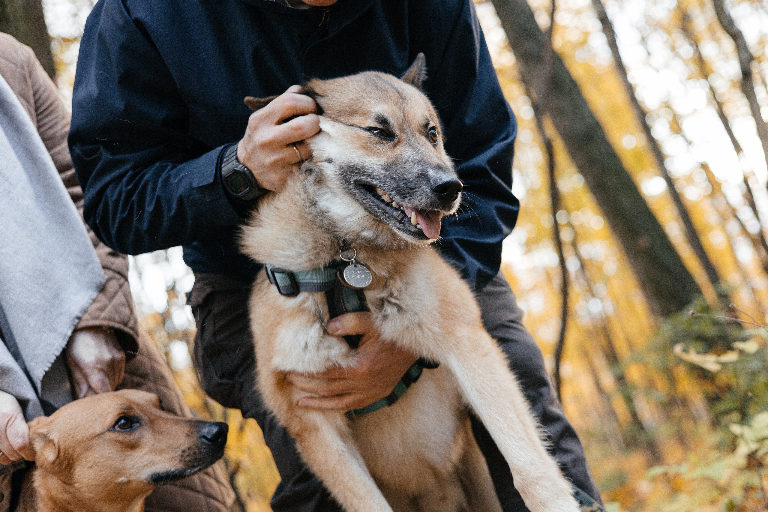 Нелли, Лёша, Рэй и Норд. Фотограф Анна Луценко Москва