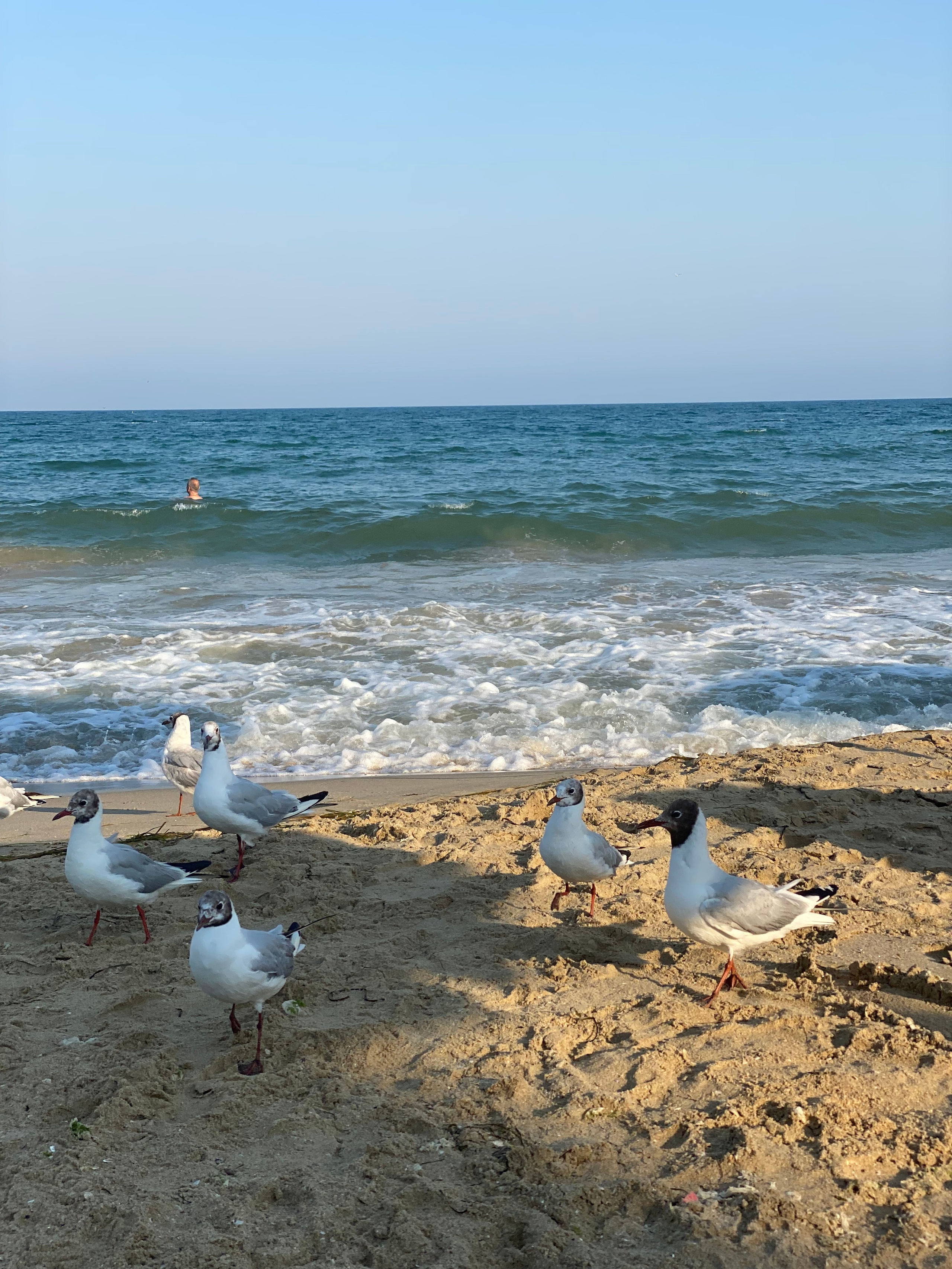 Равда, Несебр — 21. Своя Мастерская