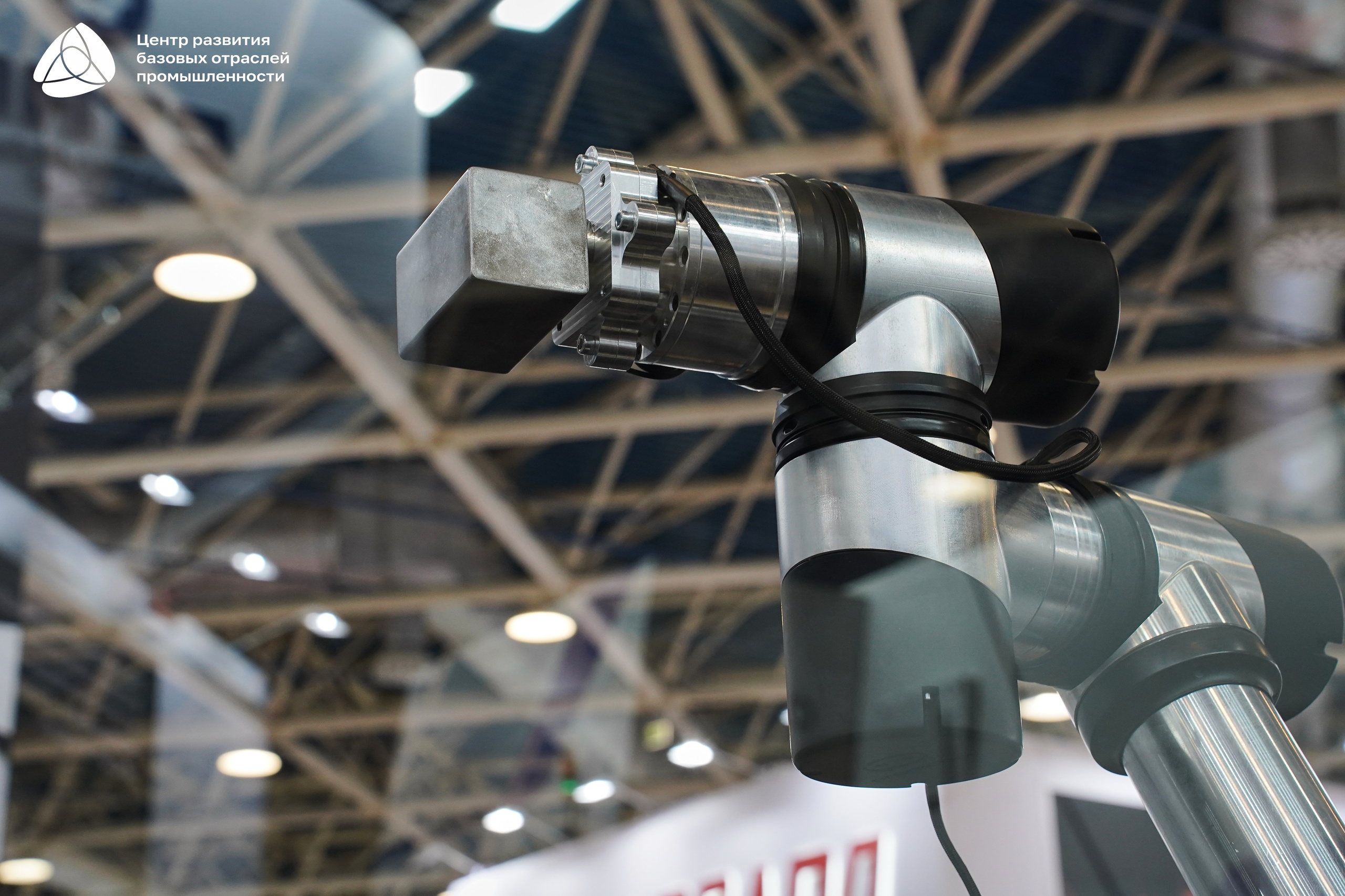 ЭКСПОЦЕНТР Алиханов. Фотограф