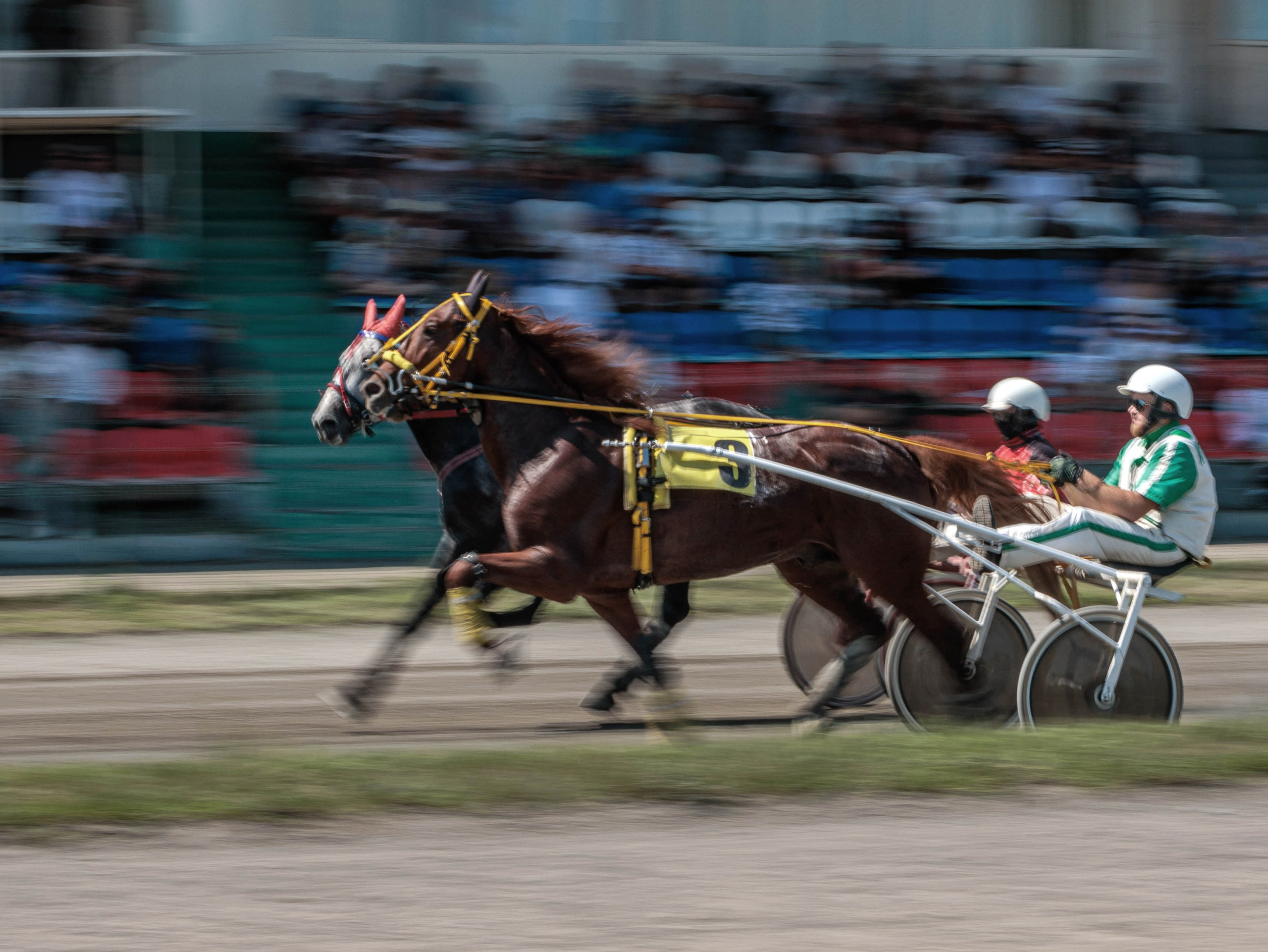 Зарисовки Абаканский ипподром 2025. Конный фотограф в Красноярске — Любовь Похабова