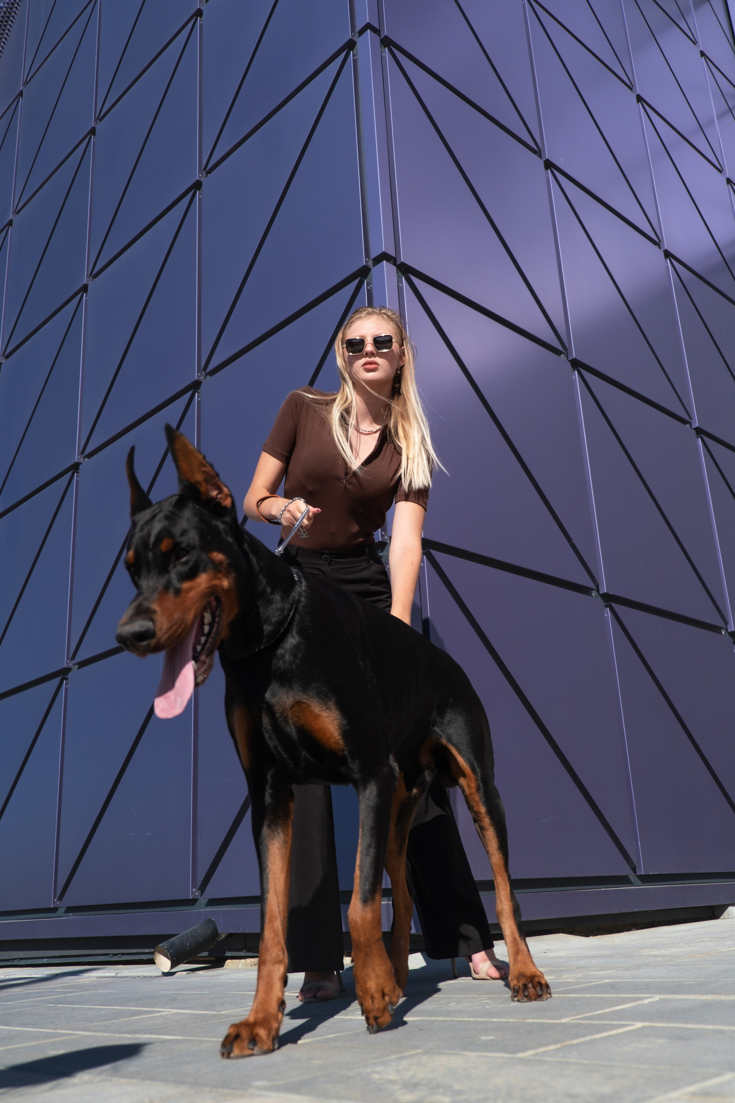 Фотосессия с Доберманом. Профессиональная фотосъемка в Крыму. Натуральные эмоции и живые кадры. Забронируйте дату прямо сейчас!