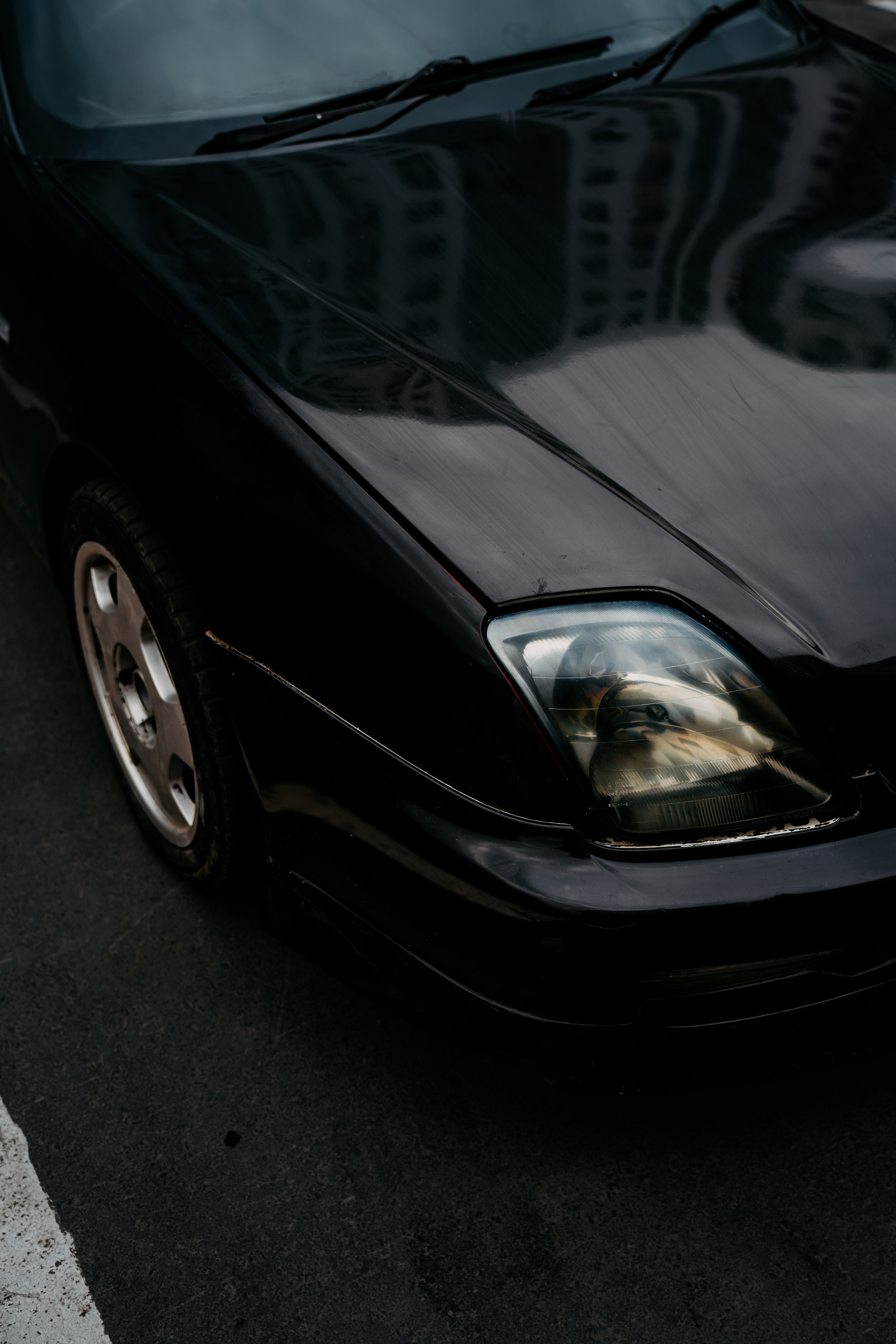 Honda Prelude 5 — 25'. Фотограф, видеограф и пилот дрона на Байкале