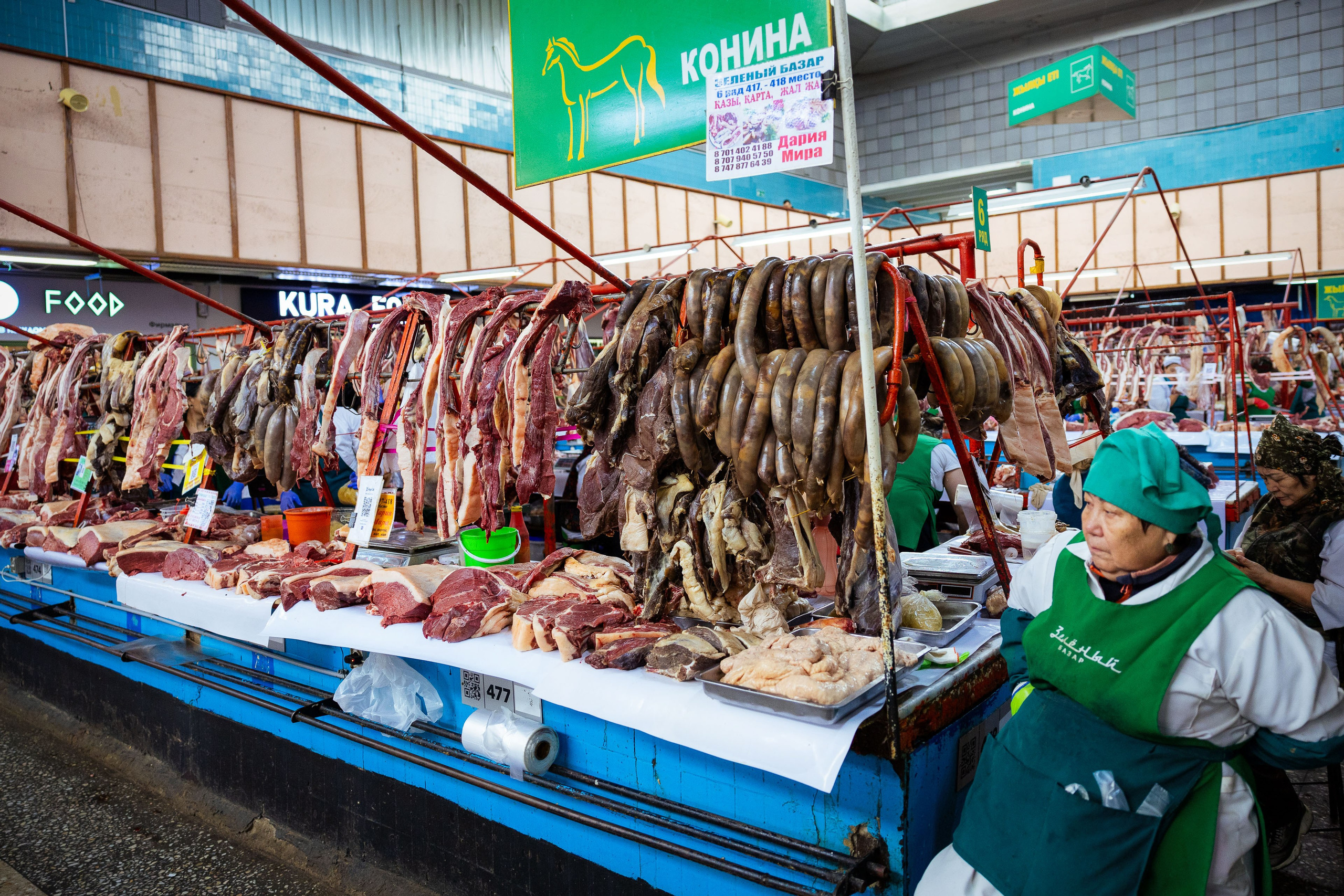 Казахстан (осень 2024). Фотограф Виноградов Константин
