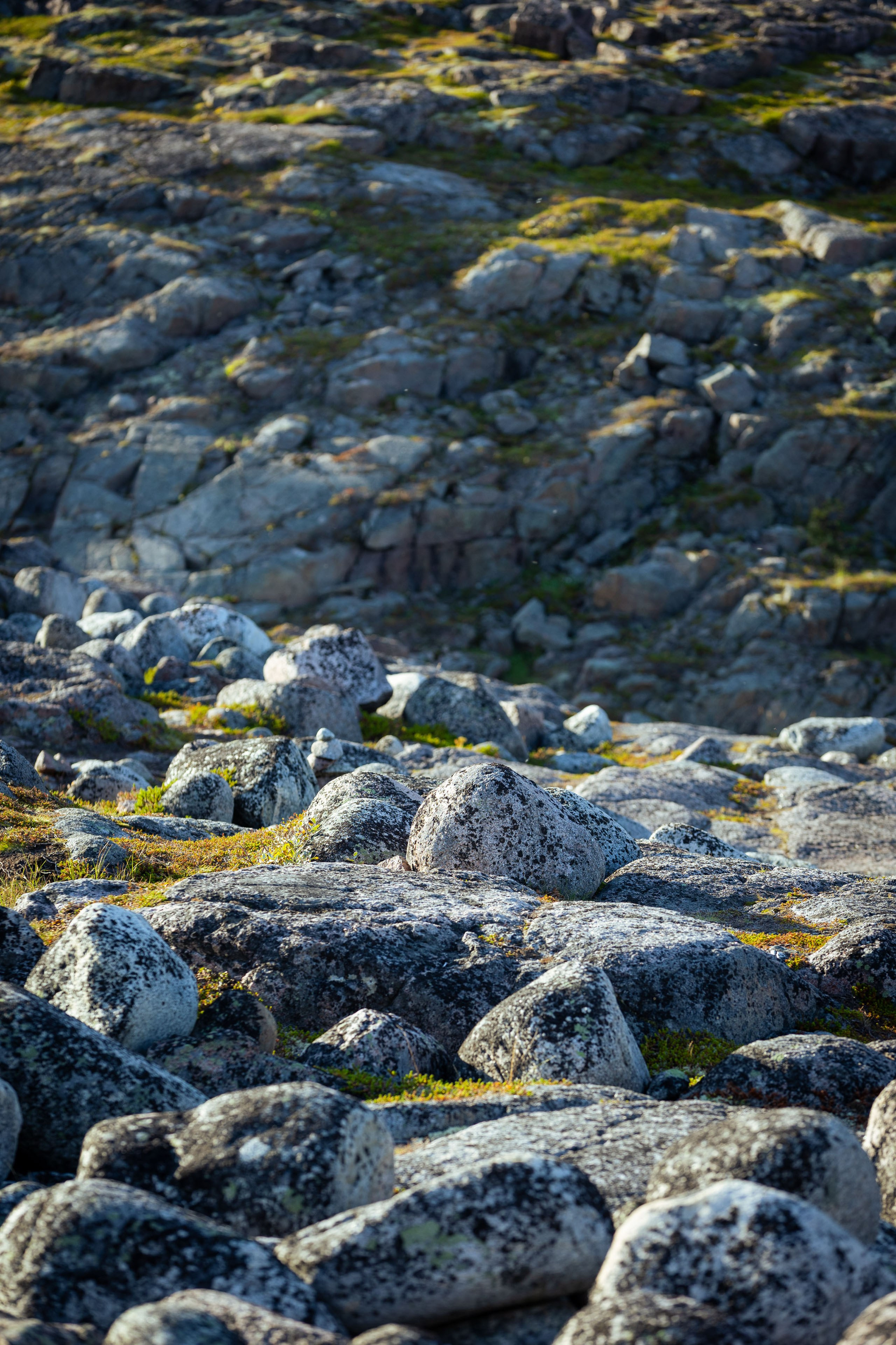 Кольский (осень 2025). Фотограф Виноградов Константин