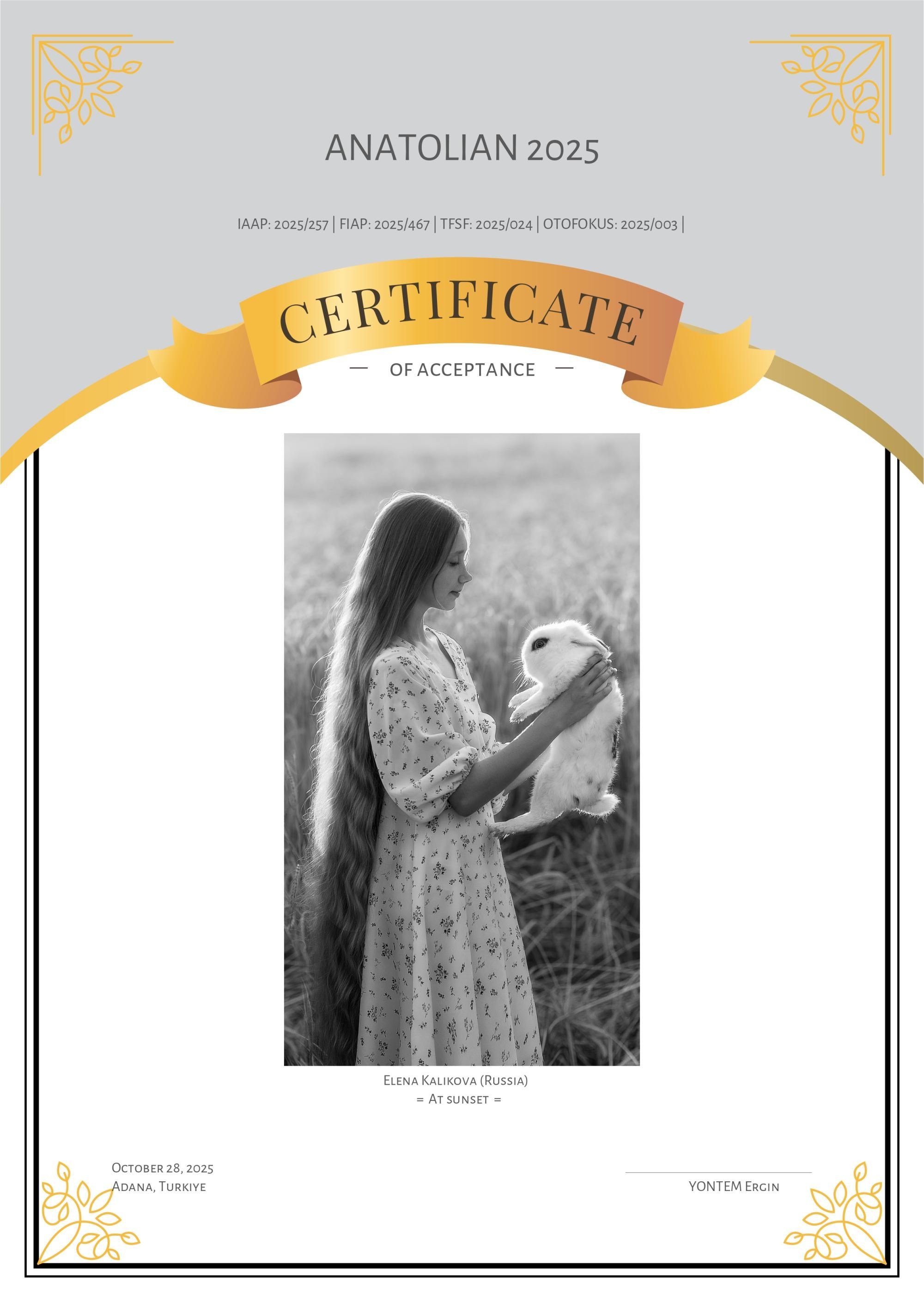 Дипломы и Награды. Семейный и детский фотограф в Екатеринбурге Каликова Елена