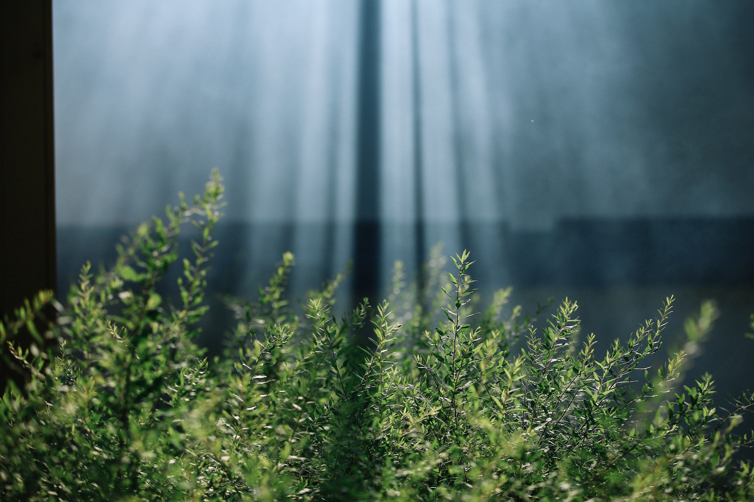 Фотограф Евгения Улаз