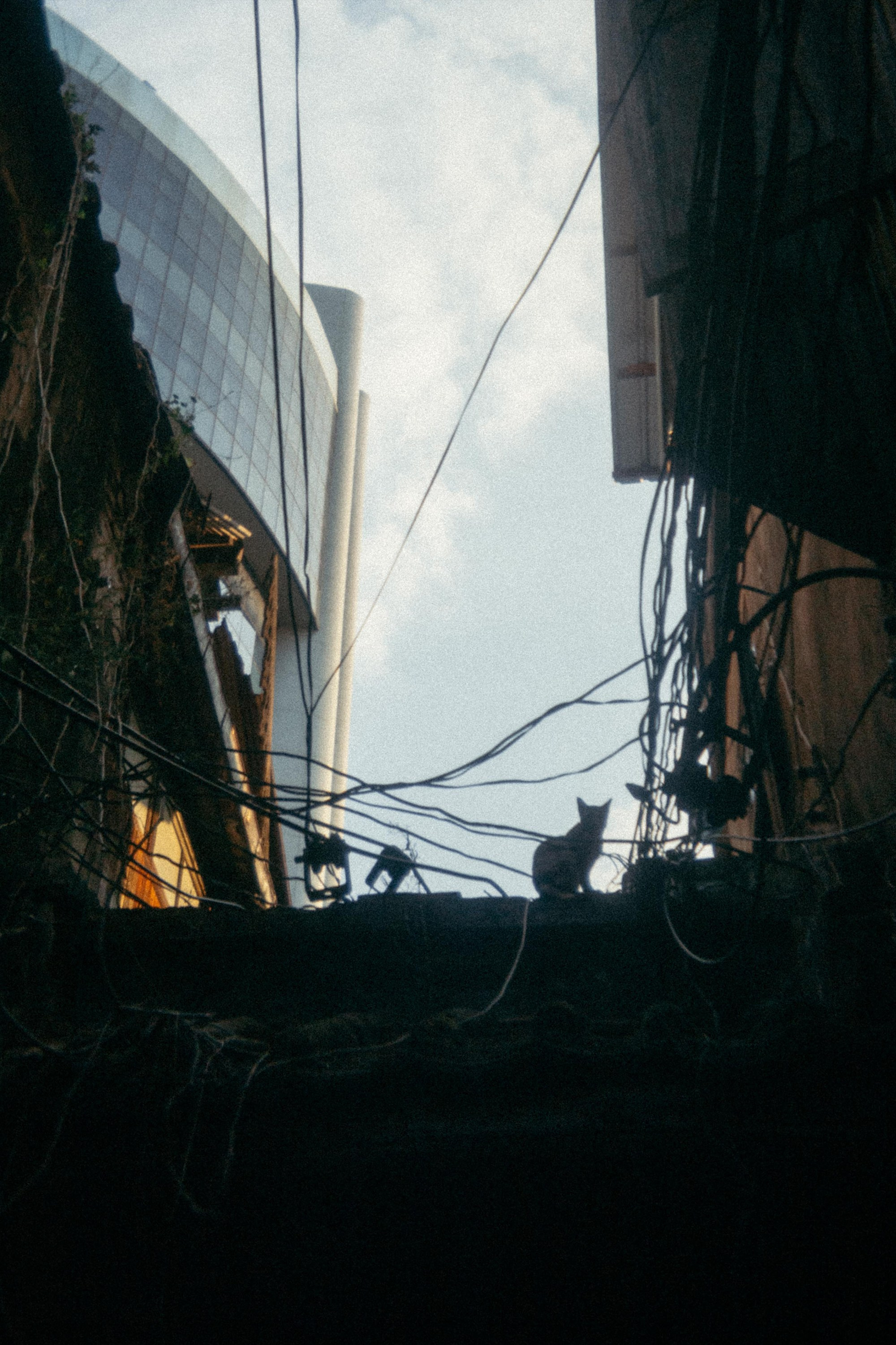 Шри + Бангкок. Фотограф Тбилиси Саша Мороз