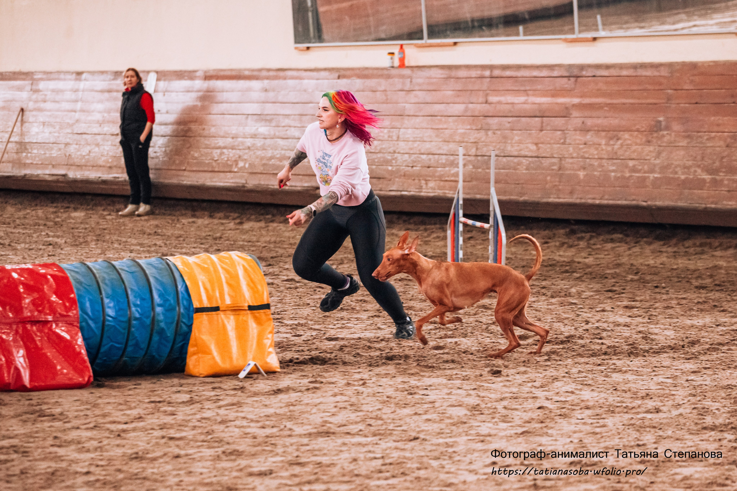 Соревнования по Аджилити 25.02.2024. Фотограф-анималист Татьяна Степанова