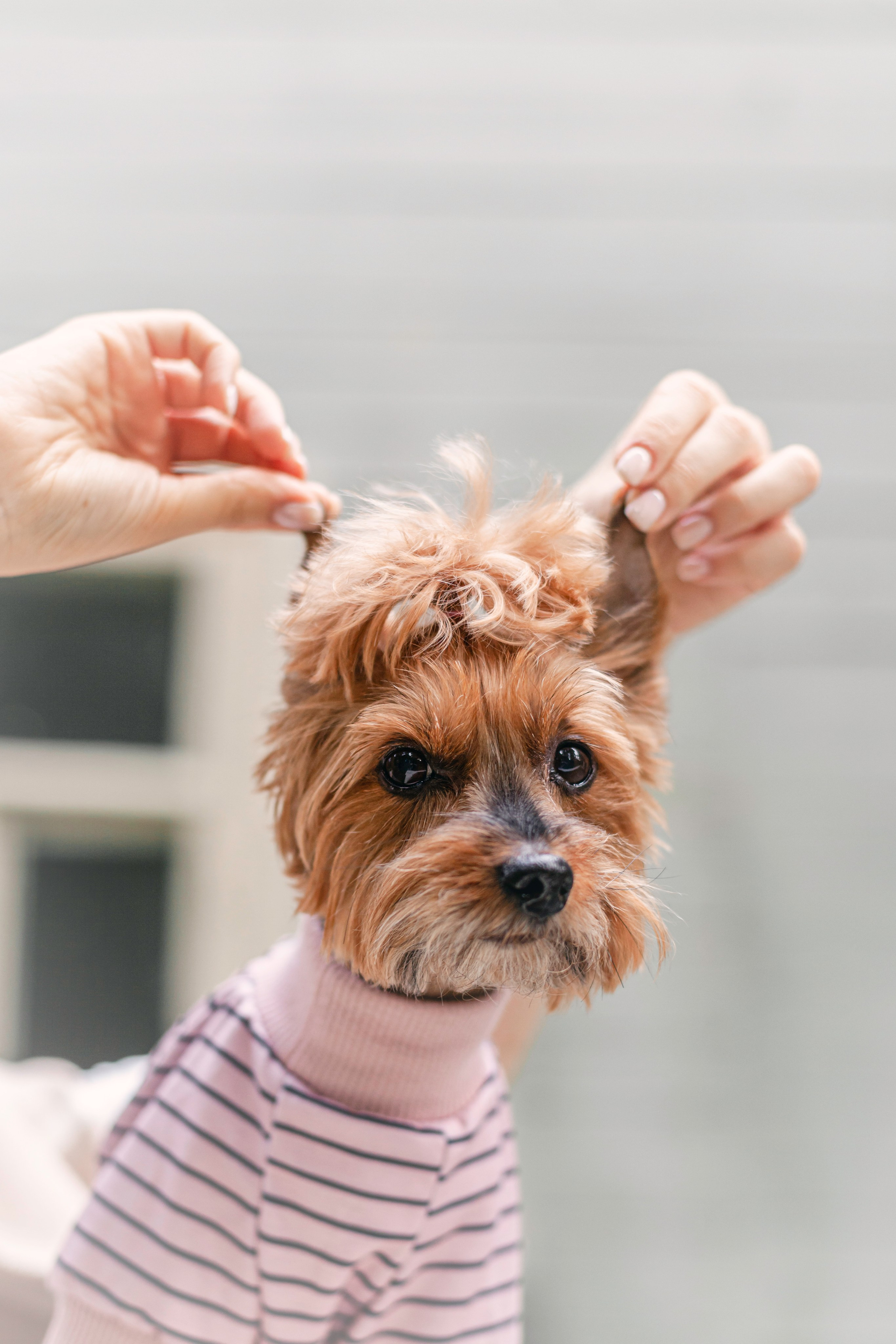 Катя и Моня. Фотограф-анималист Татьяна Степанова