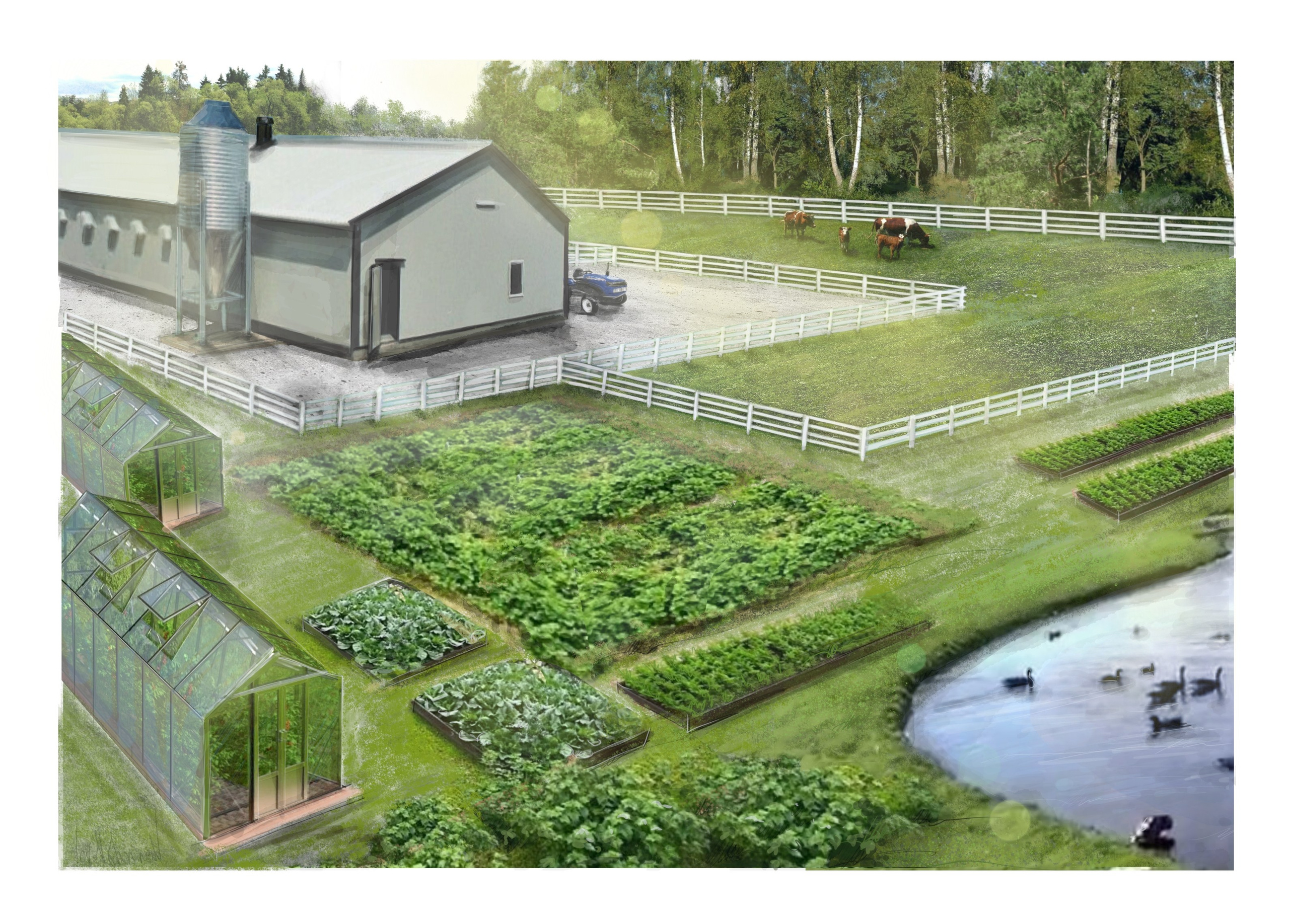 Концептуальная предпроектная визуализация. Ландшафтная архитектура, проектирование и дизайн садов