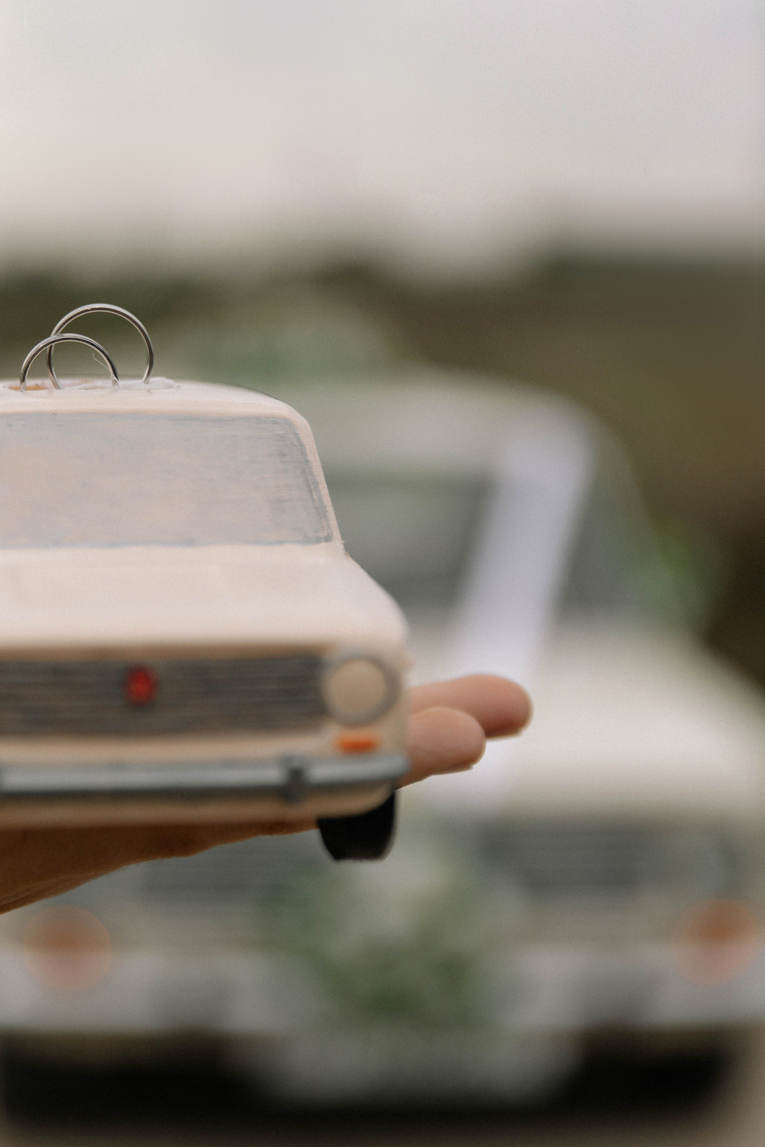 Дыня или арбуз?. Свадебный фотограф Алина Хабарова