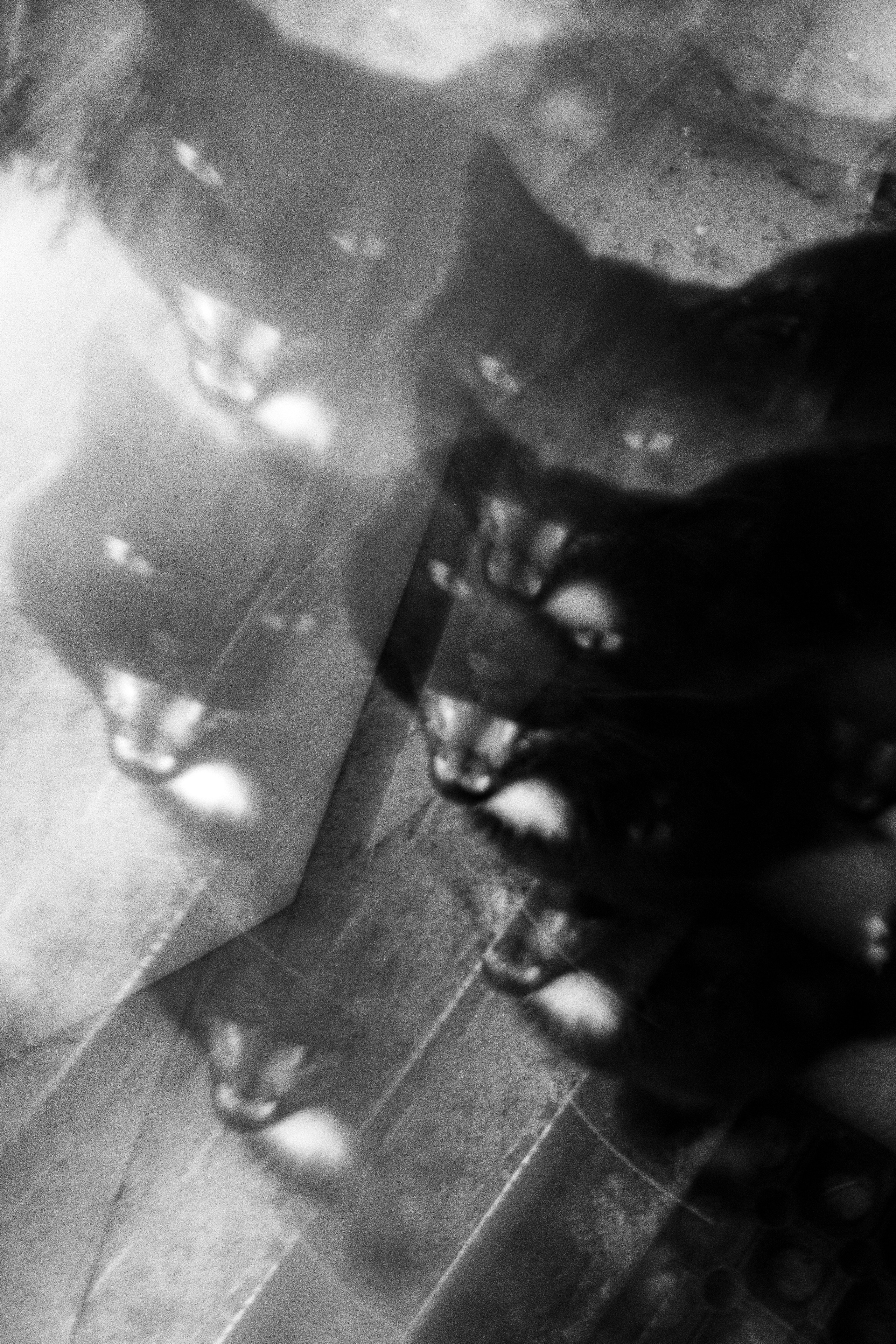 Ч.б. фотографии. Фотографии Лены Соколовой