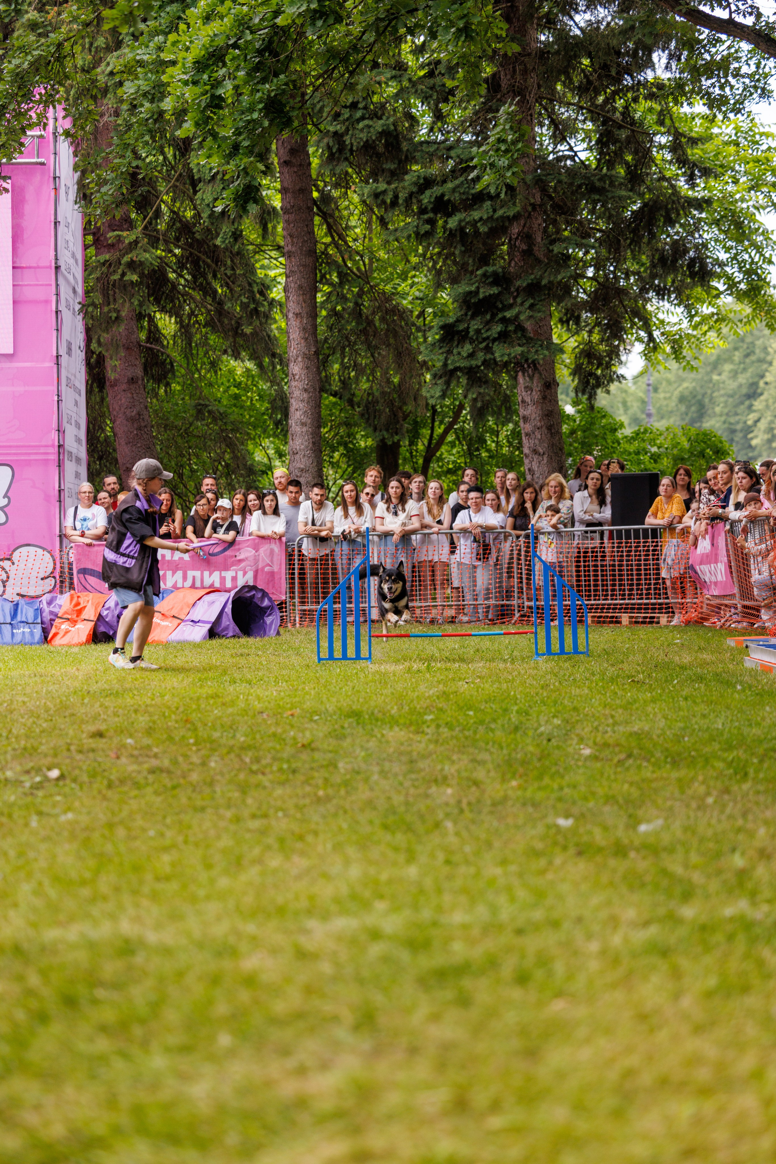 PetShopDays2026. Фотограф Александр Заломаев