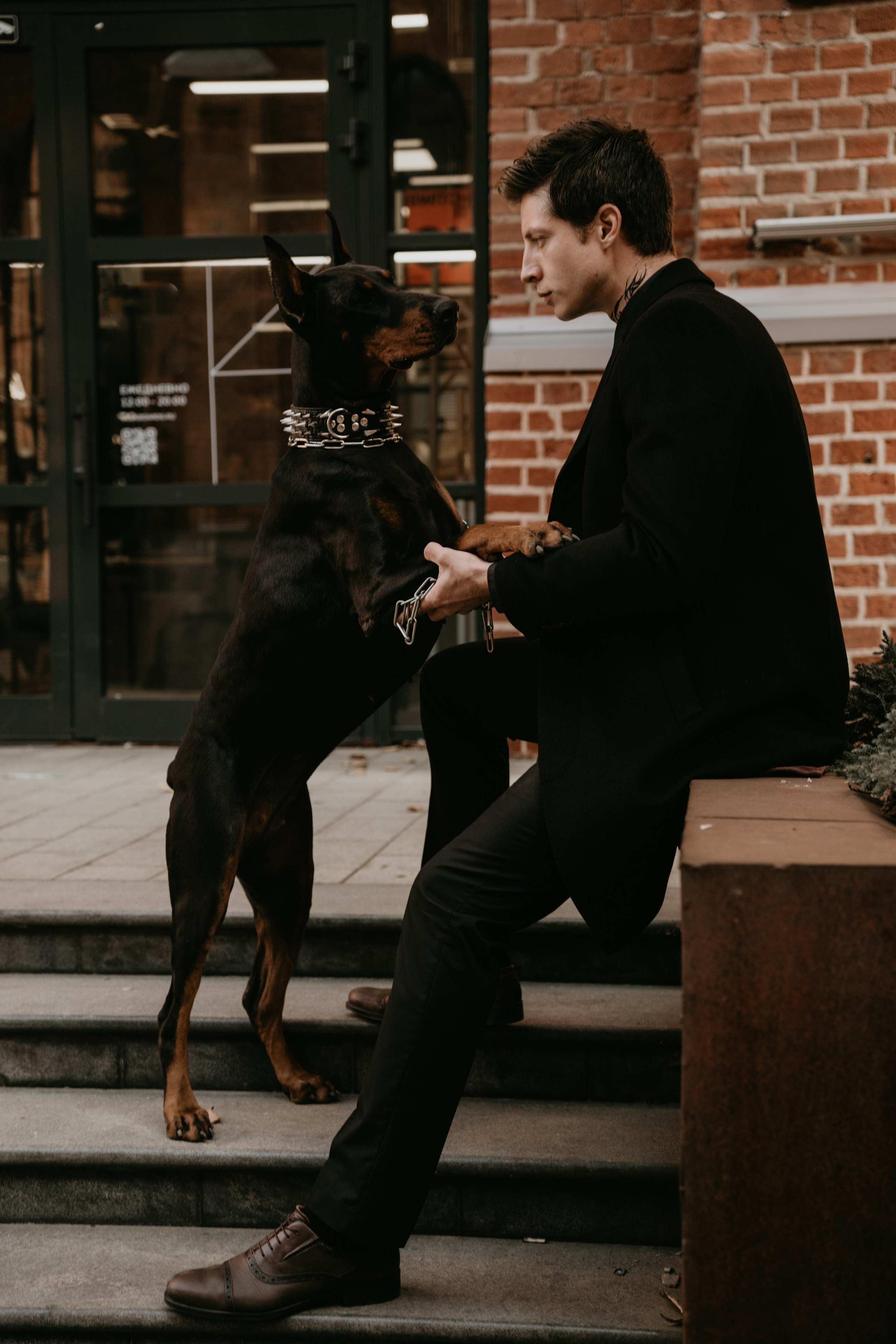 Фотосессия с собакой