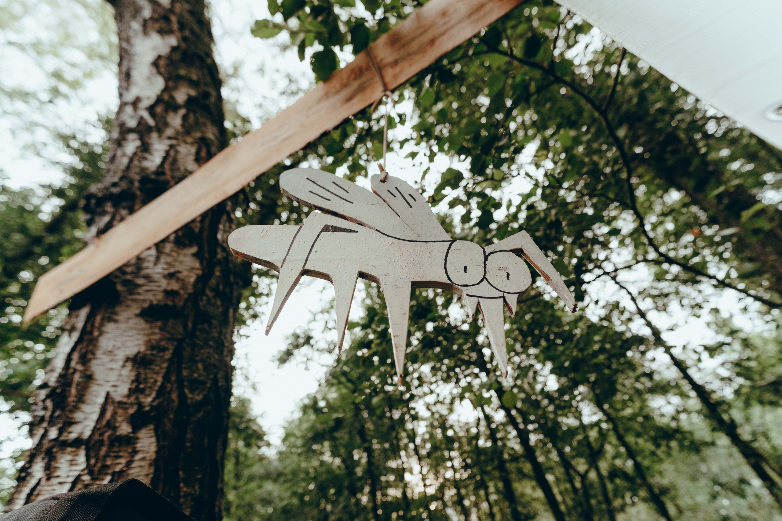 Бессонница 2025. Фотограф Аннё| Москва