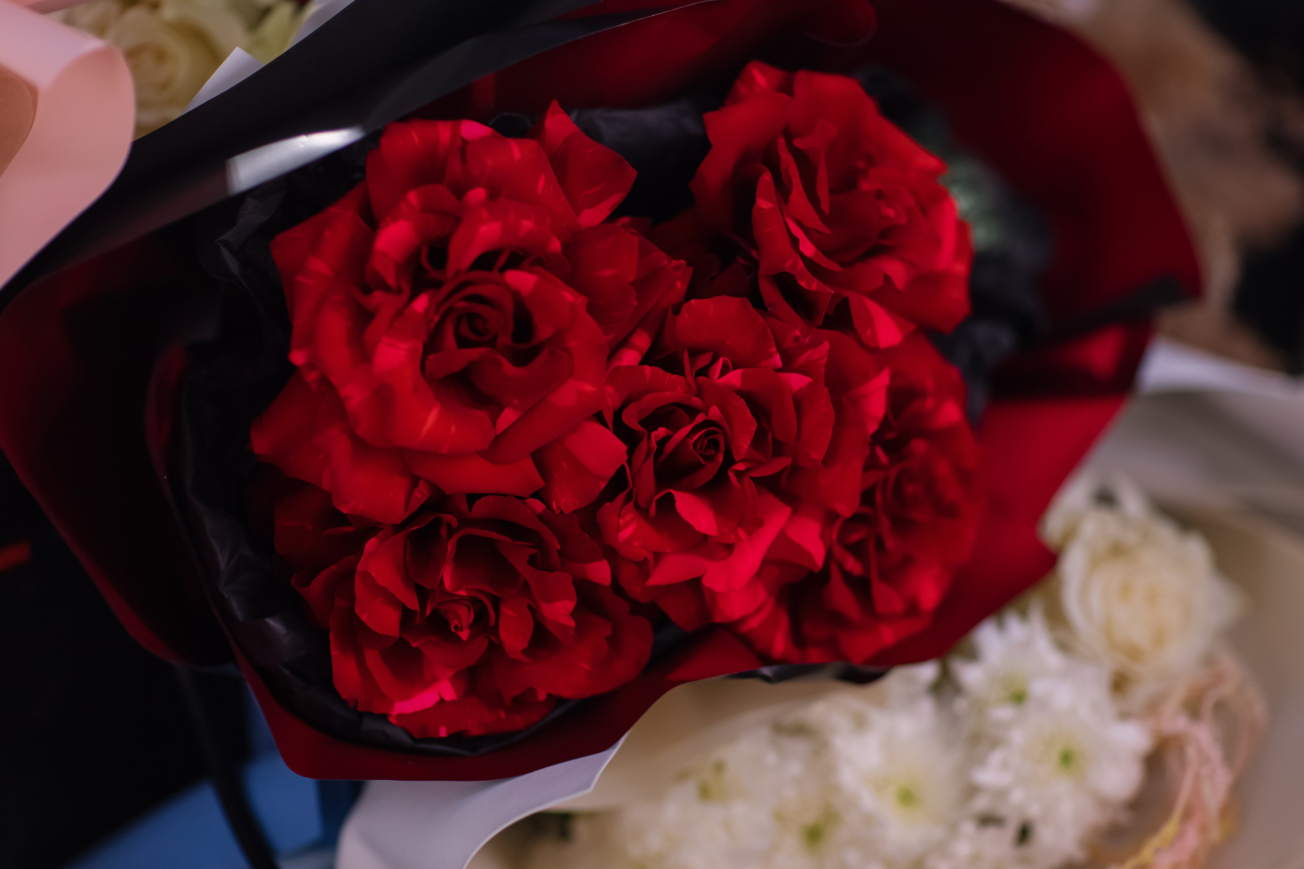 Шоу тортов. Свадебный фотограф