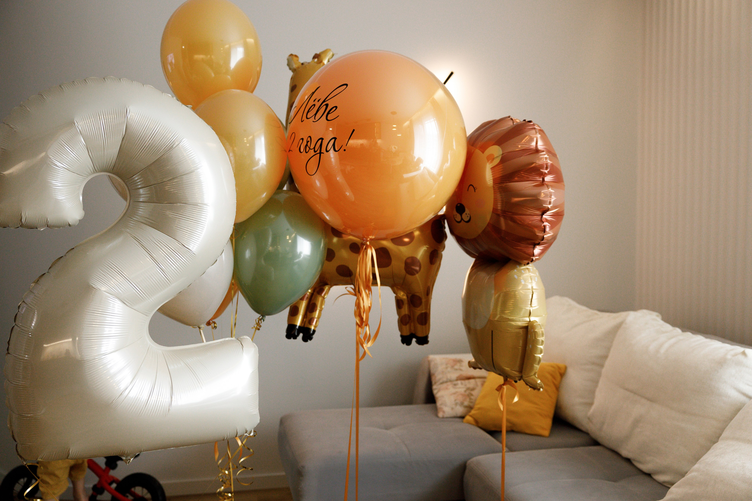 Лев 2 годика. Свадебный и семейный фотограф  во Владивостоке Ольга Украинец