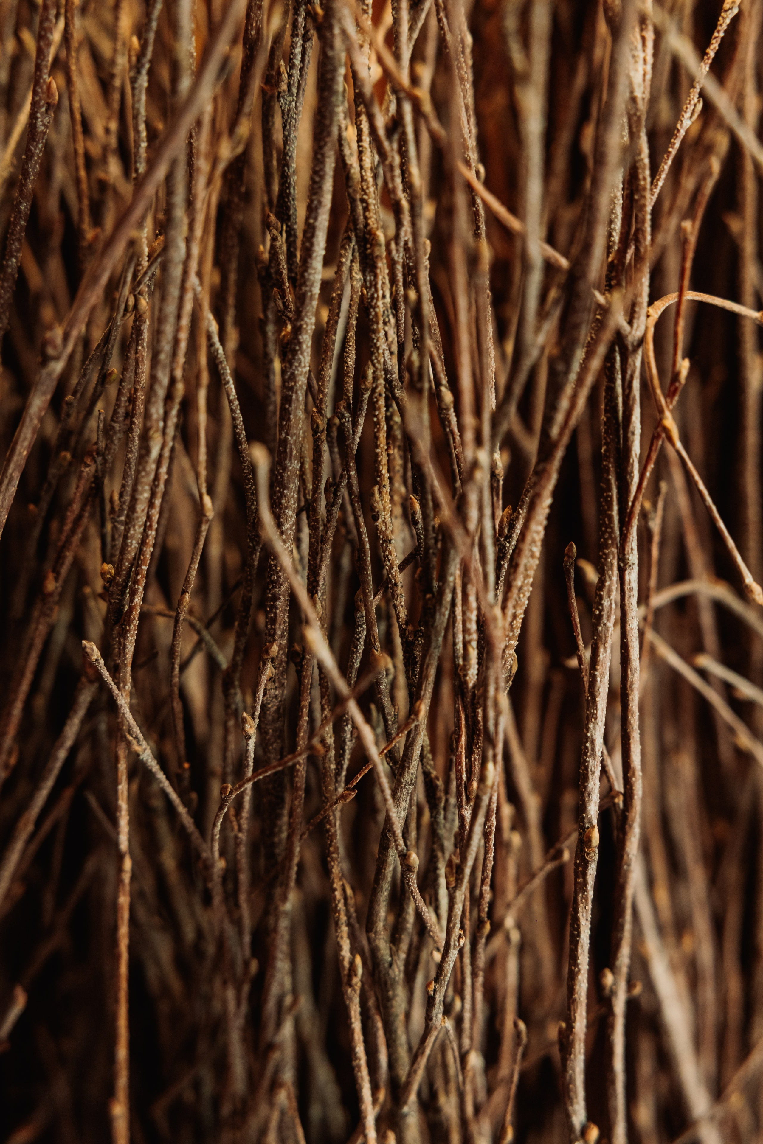 KUKSA|ТО, ЧТО ТЕБЯ СОГРЕВАЕТ|Кело-баня на дровах, г. Коломна. ФОТОГРАФ ИРИНА ШАМАТАВА